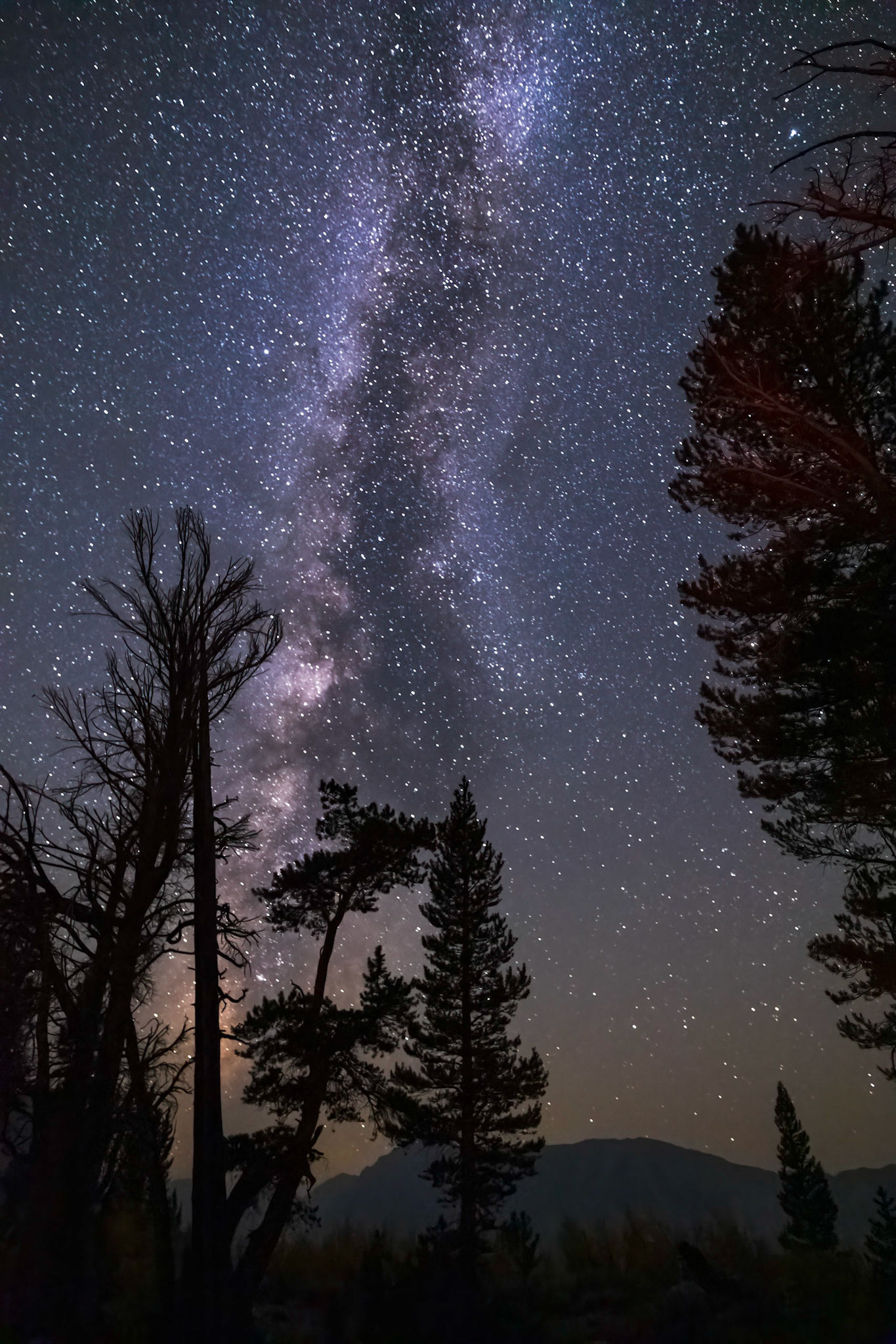 Wheeler Ridge Milky Way