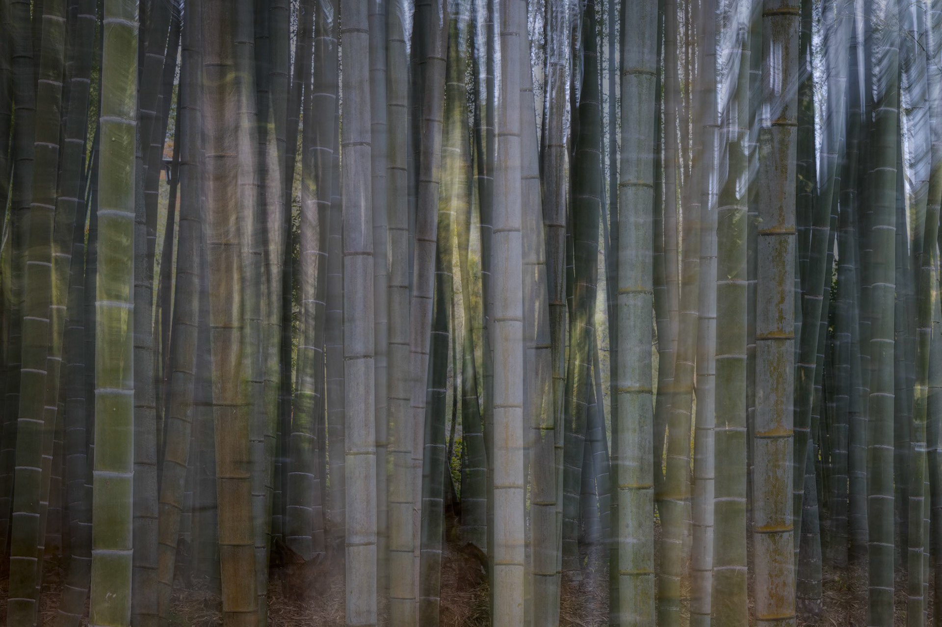 Adashino Nenbutsuji Temple