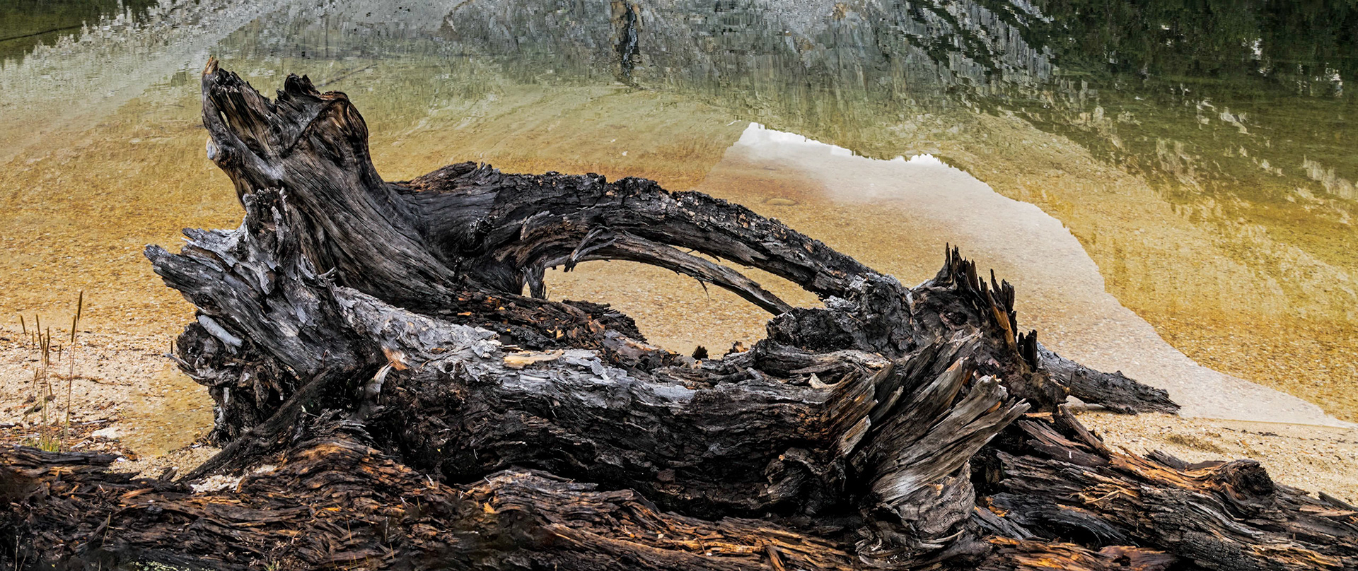 Pioneer Basin Fourth Recess