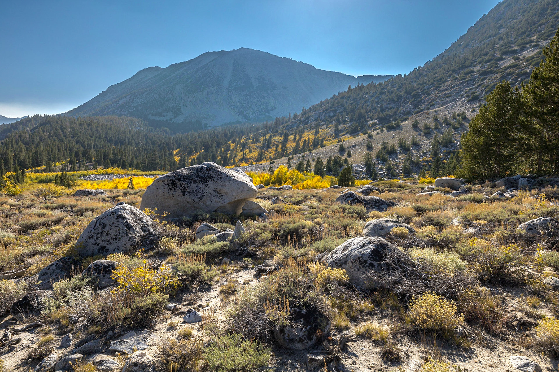 Hilton Lakes Trail Pond