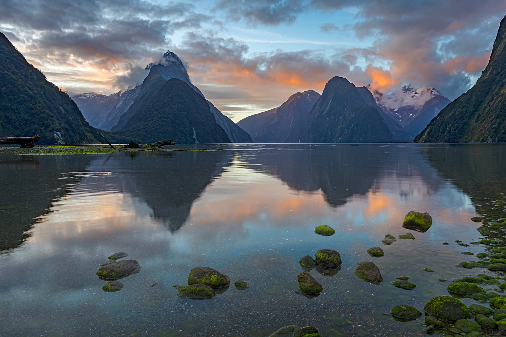 MIlford Sound Foreshore