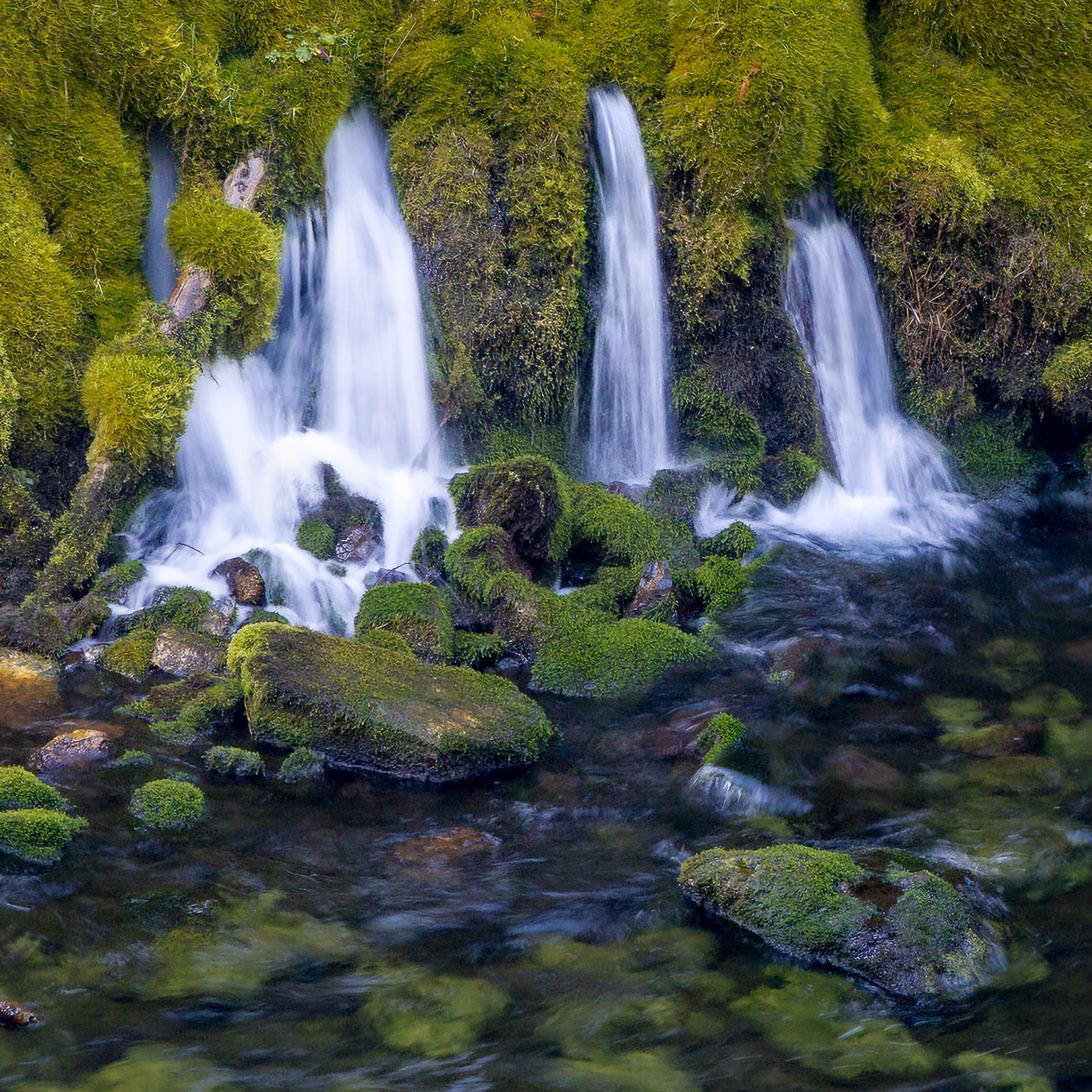 McKenzie River