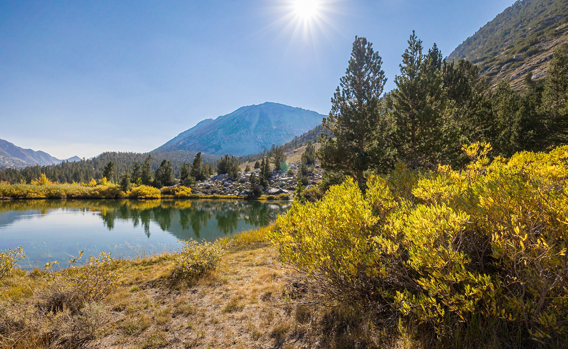Hilton Lakes Trail Pond