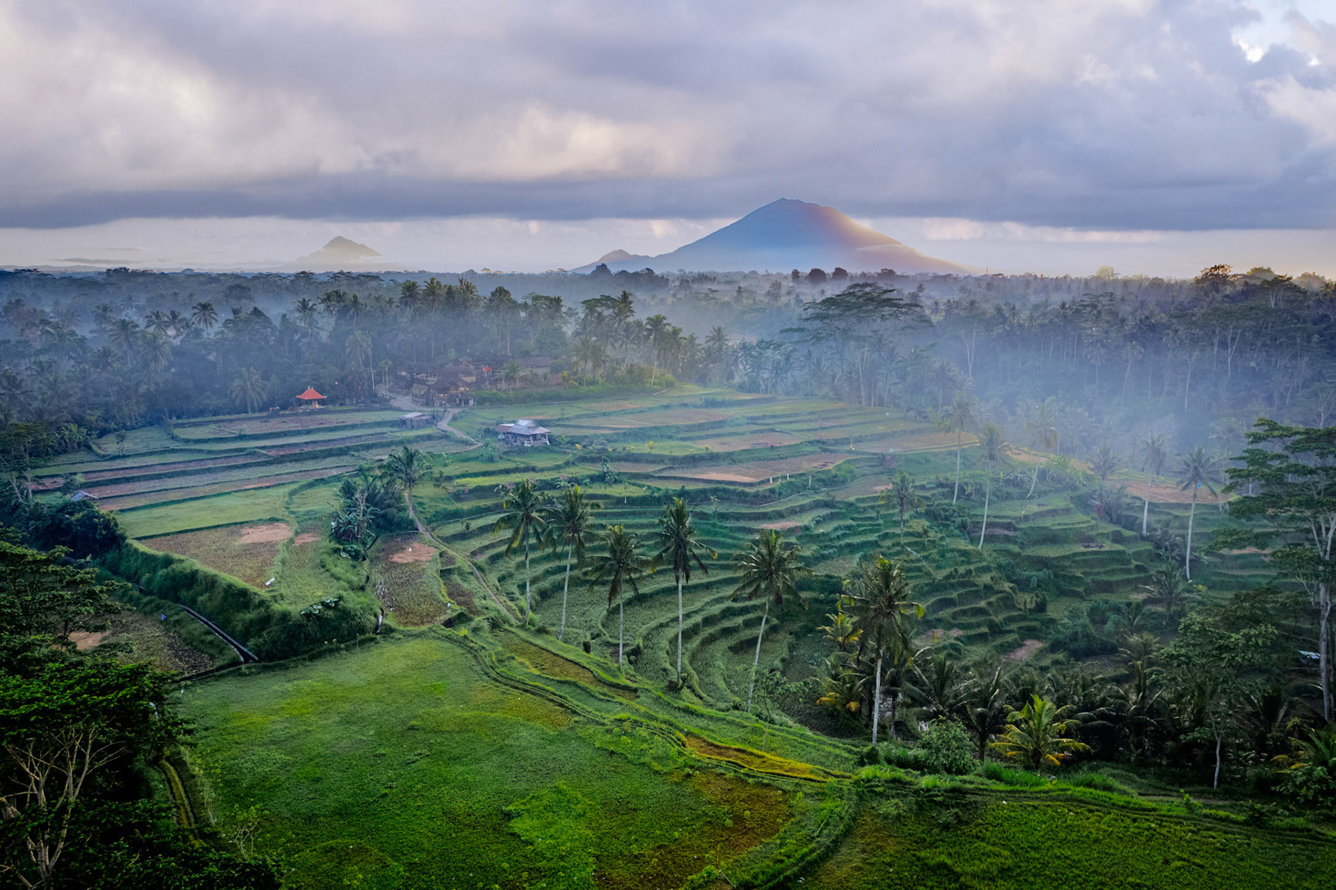 Mancingan Rice Terrace
