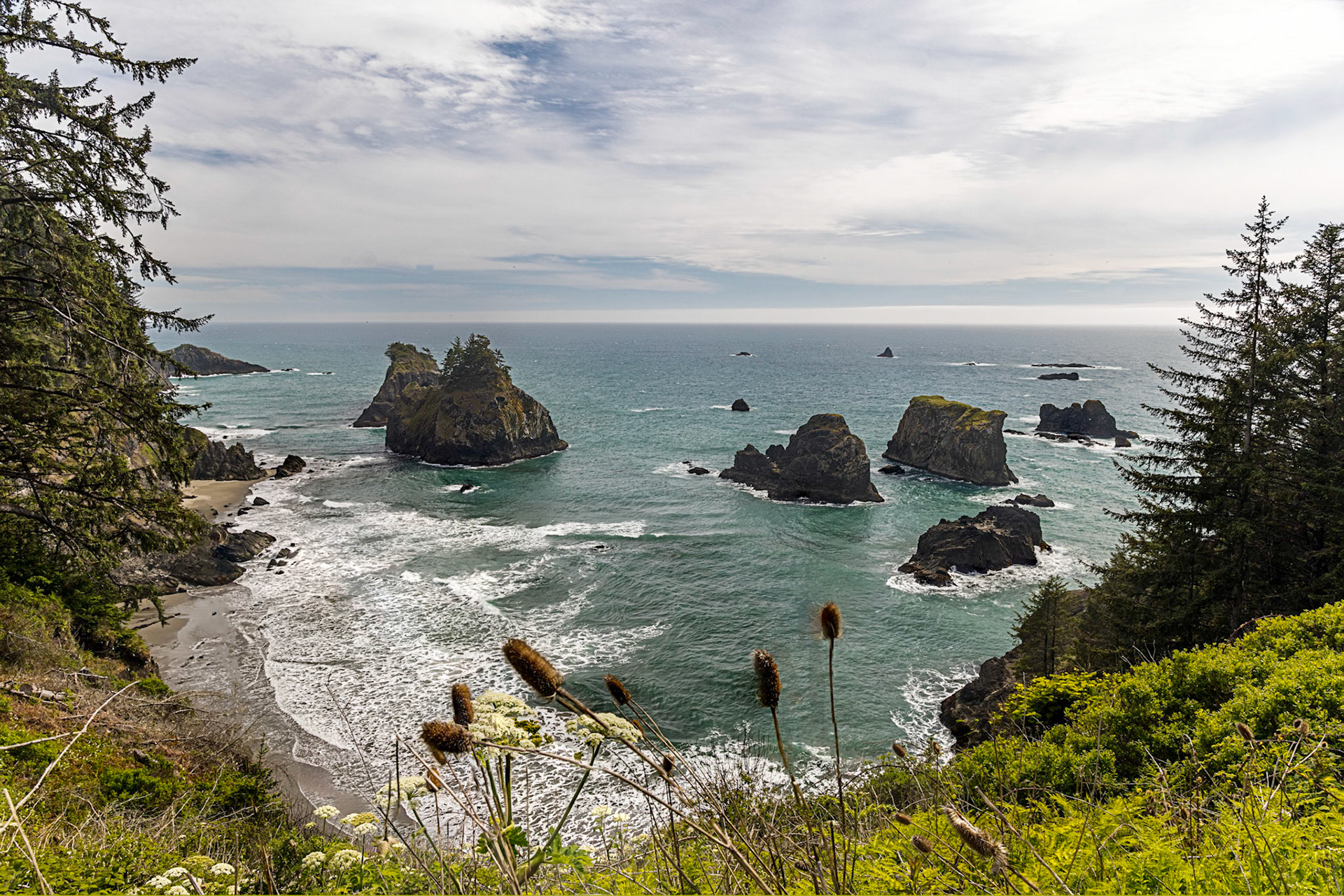 Arch Rock Area - Samuel H. Boardman State Scenic Corridor