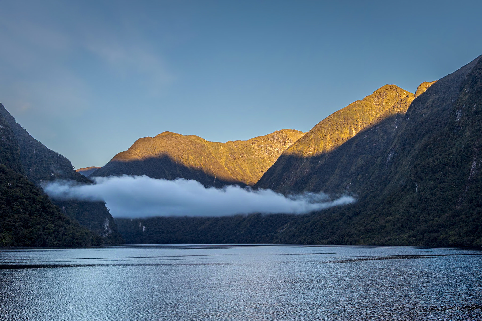 Doubtful Sound - Hall Arm