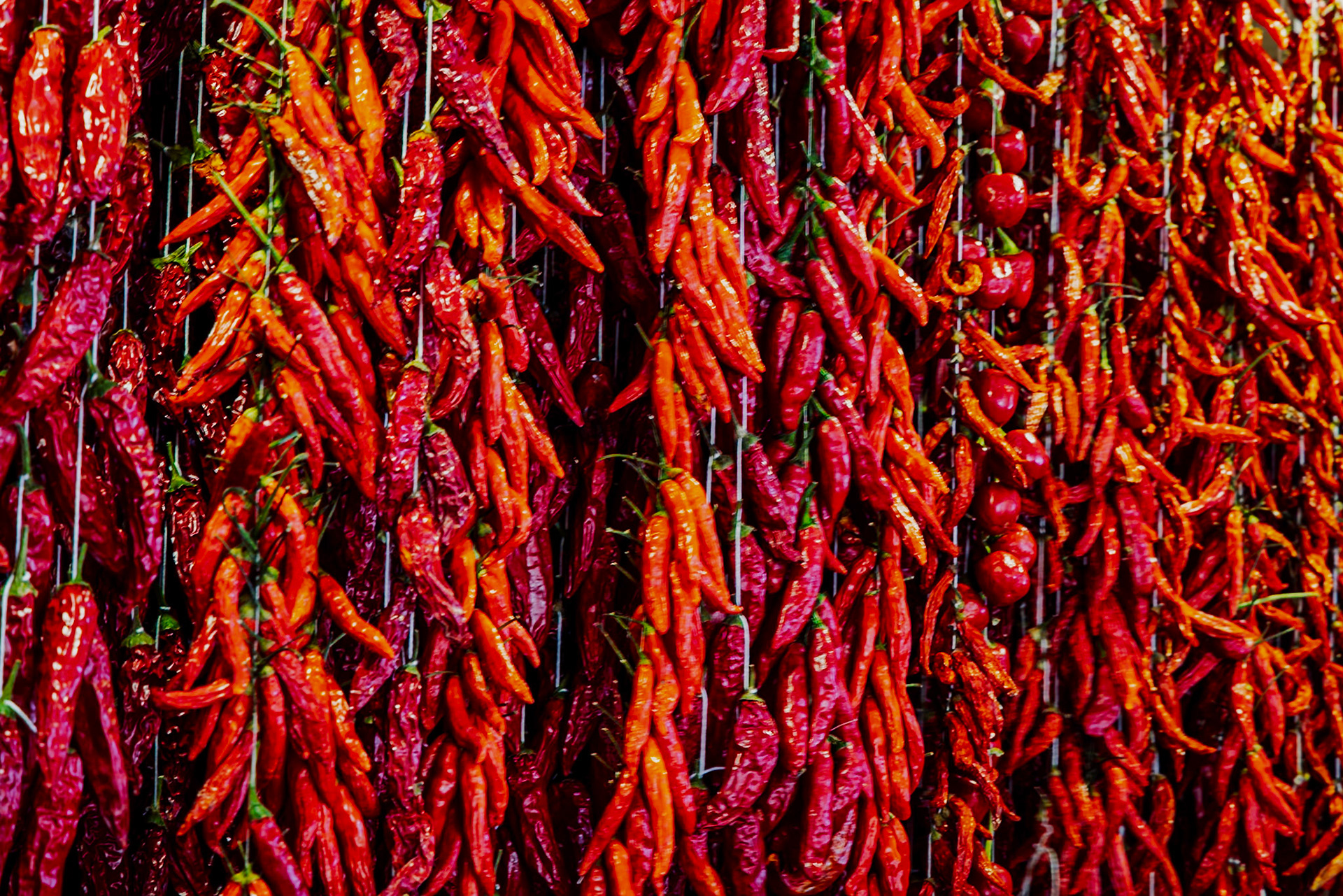 Funchal Mercado dos Lavradores