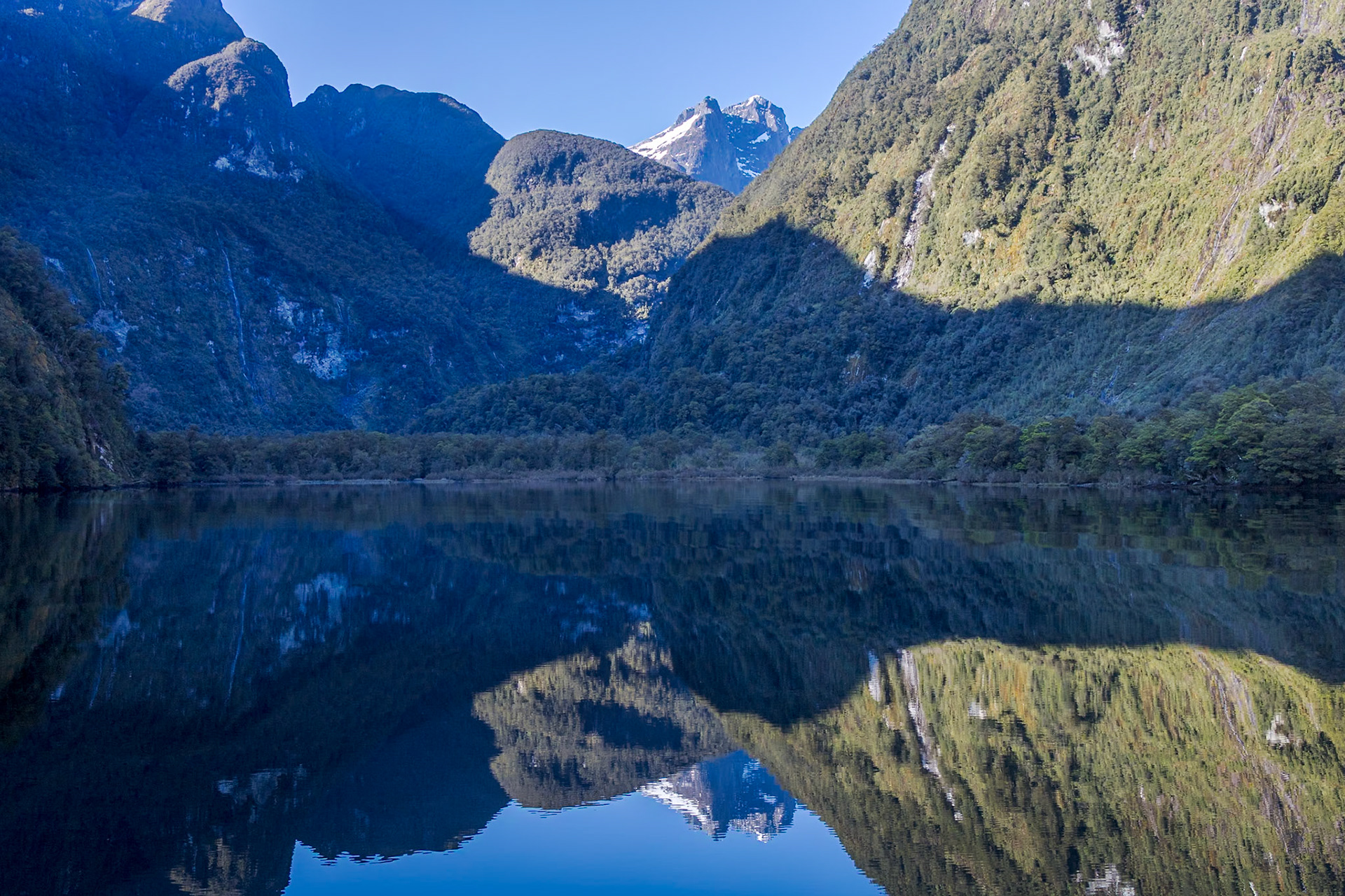 Doubtful Sound - Hall Arm