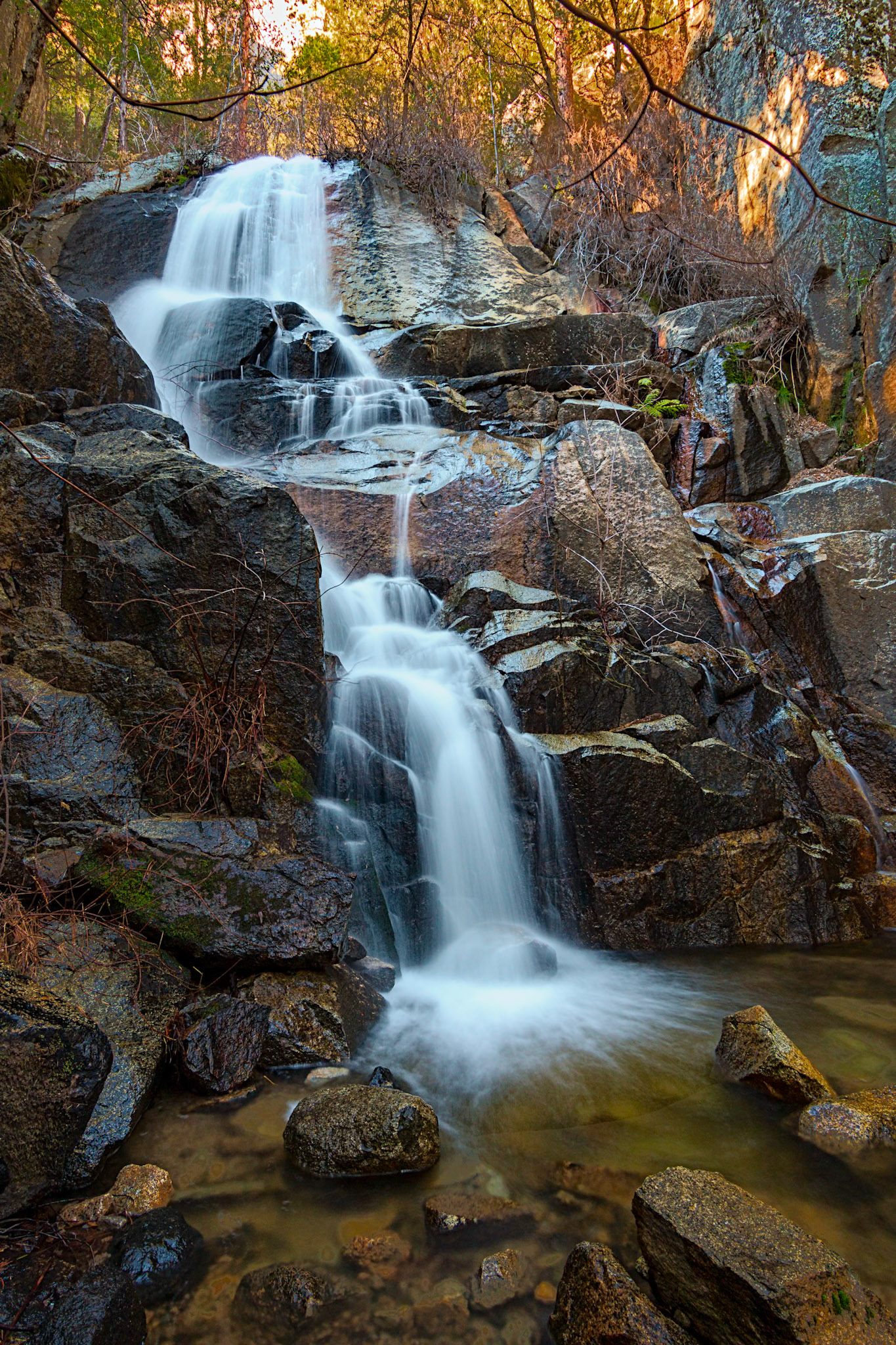 Yosemite Wildcat Falls