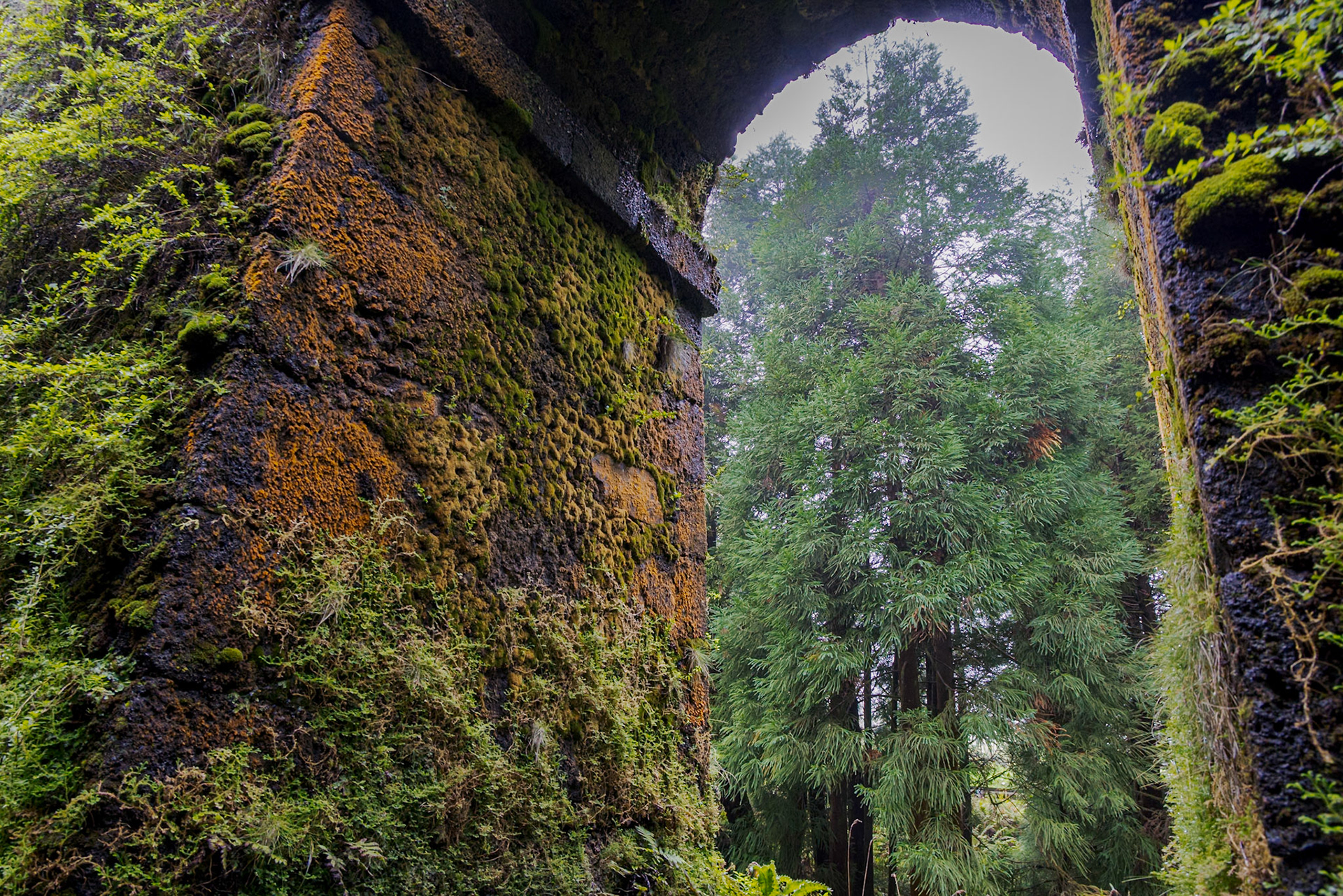 Muro das Nove Janelas
