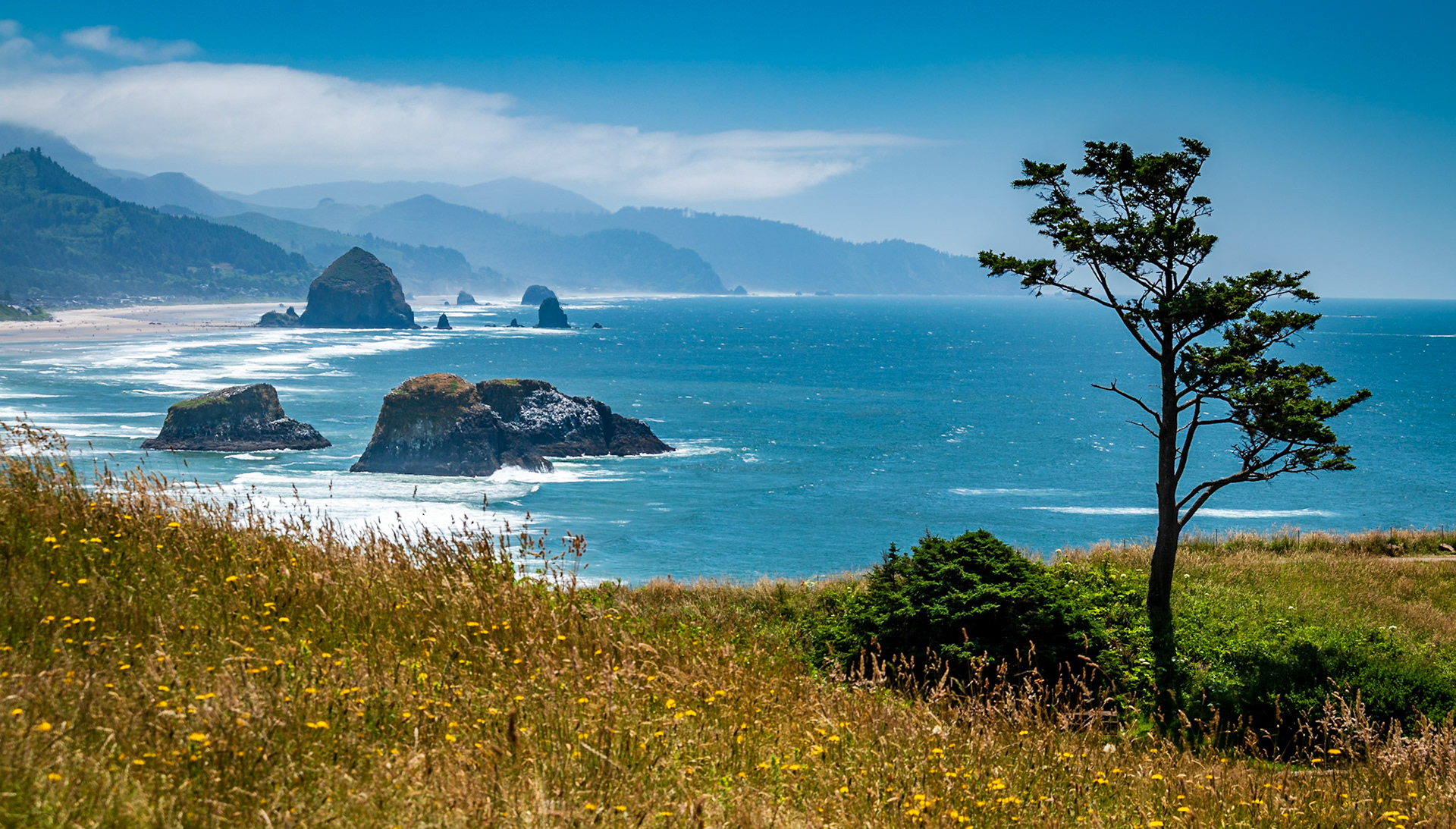 Ecola Point
