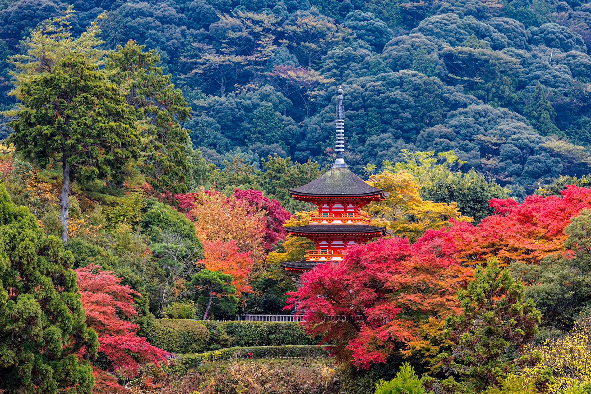 Kiyomizu-dera Temple