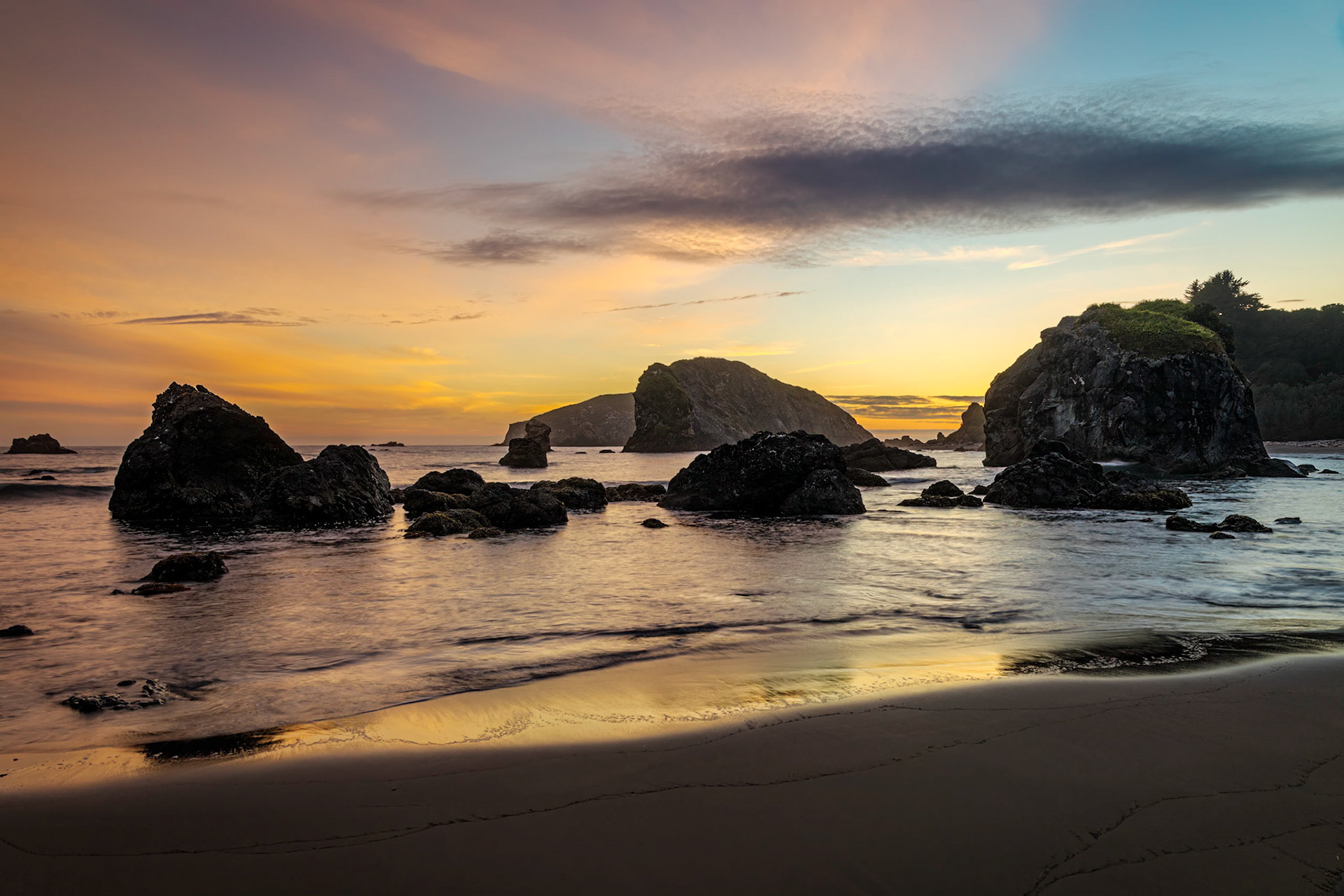 Harris Beach State Park