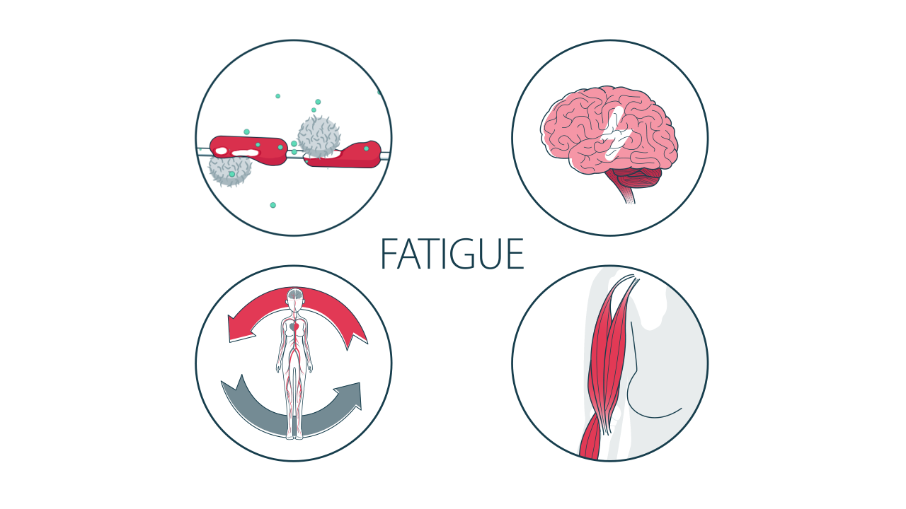 MS und Fatigue: Icons