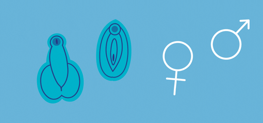 Gender Dings: Geschlechter