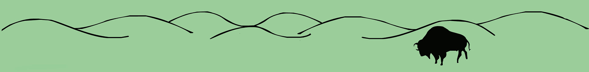 Plains