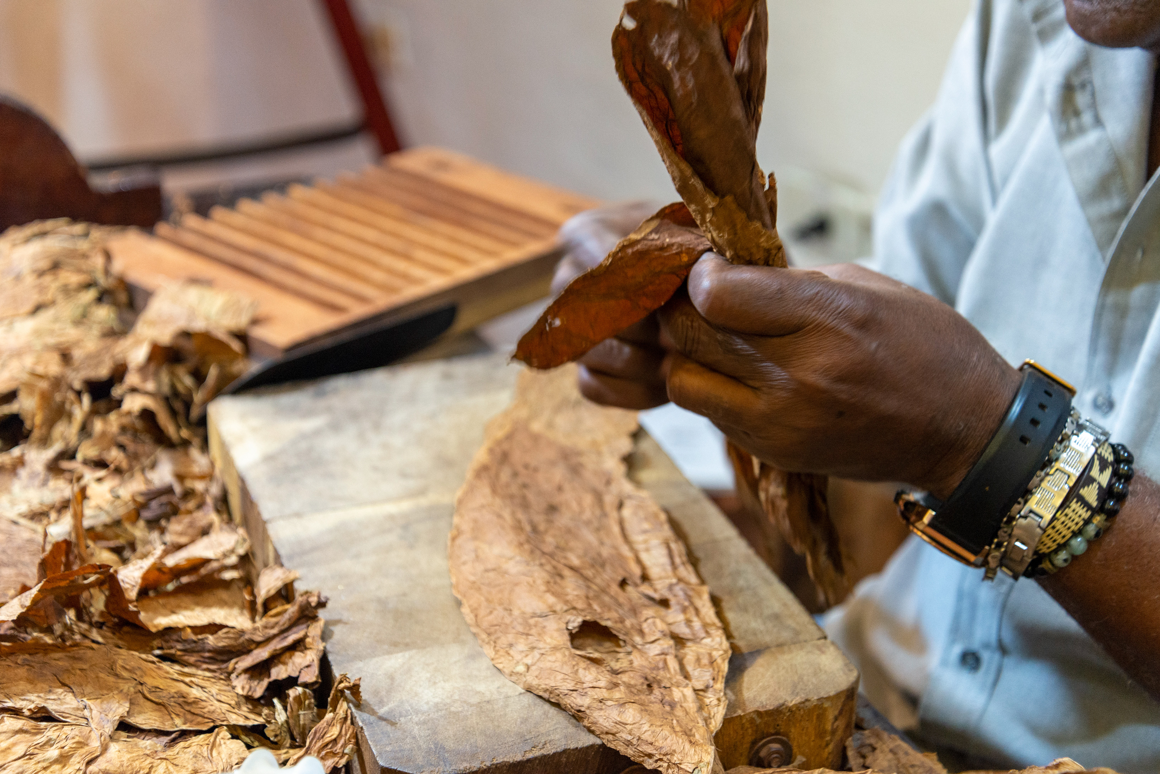Havana (La Habana), Cuba. March 2019.