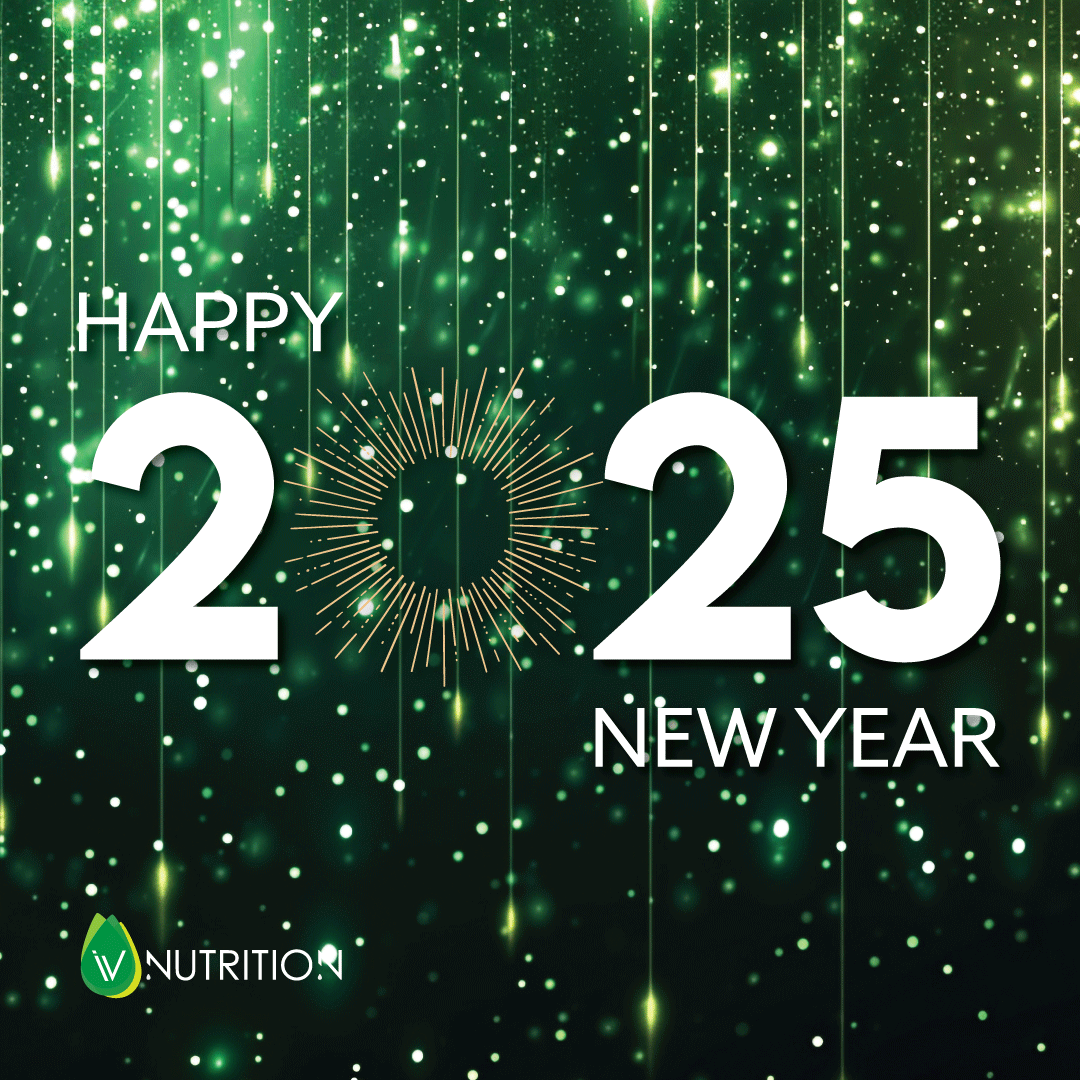 Social Media New Year Graphic