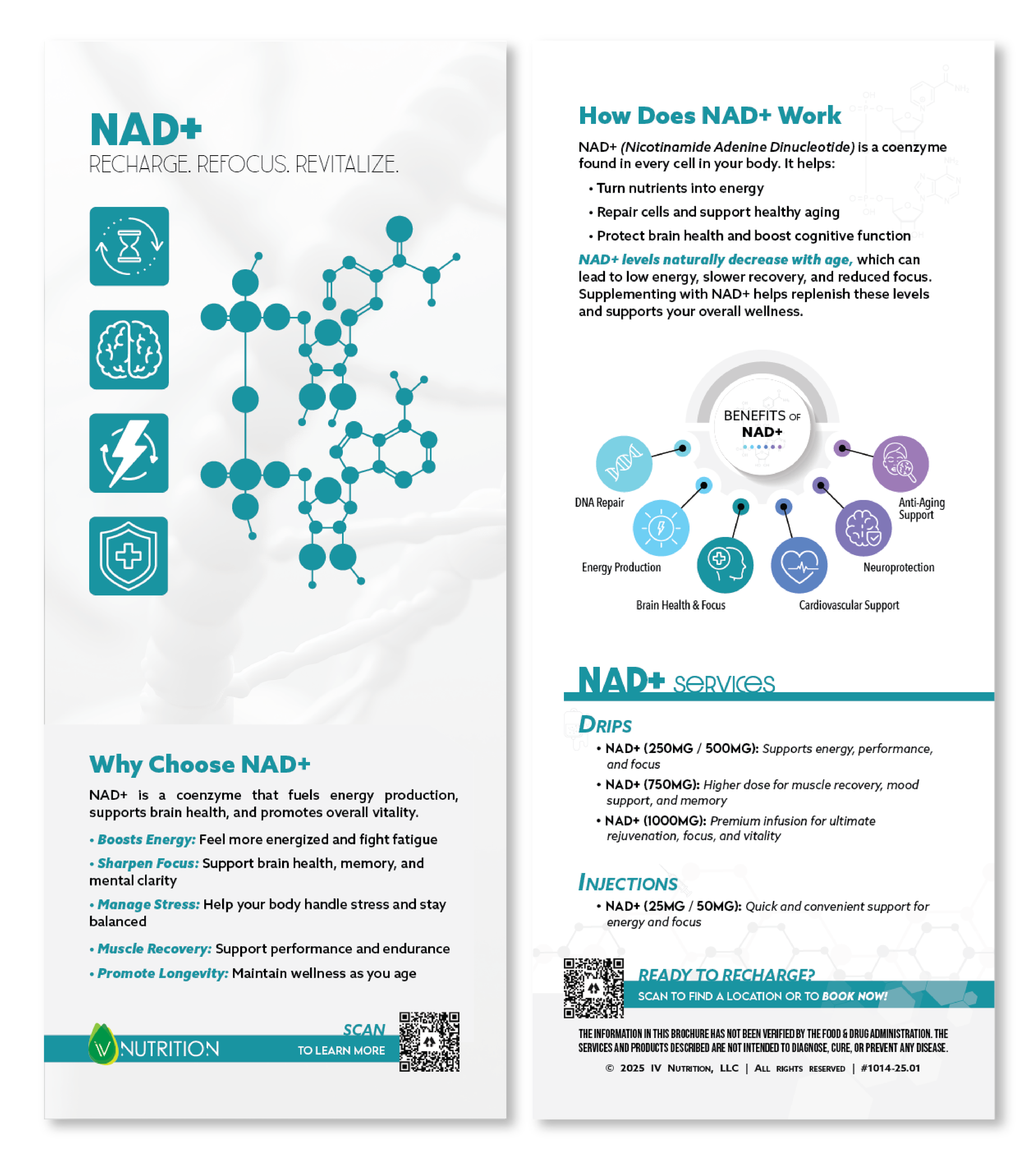 Front & Back 3.5" x 8.5" Rack Card