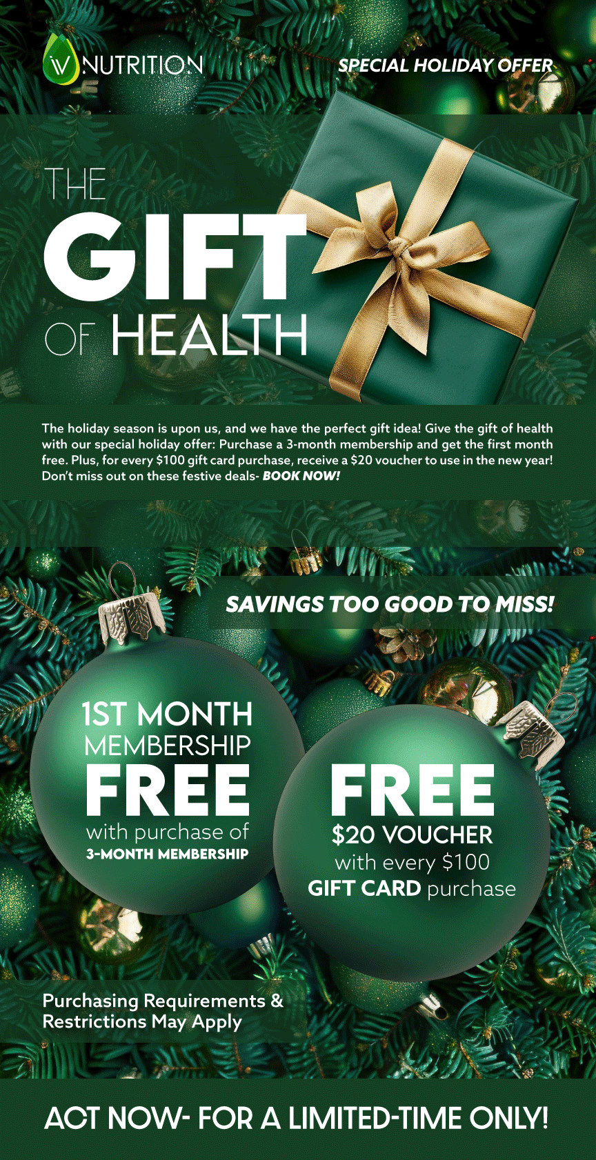 Email Promotional Graphic