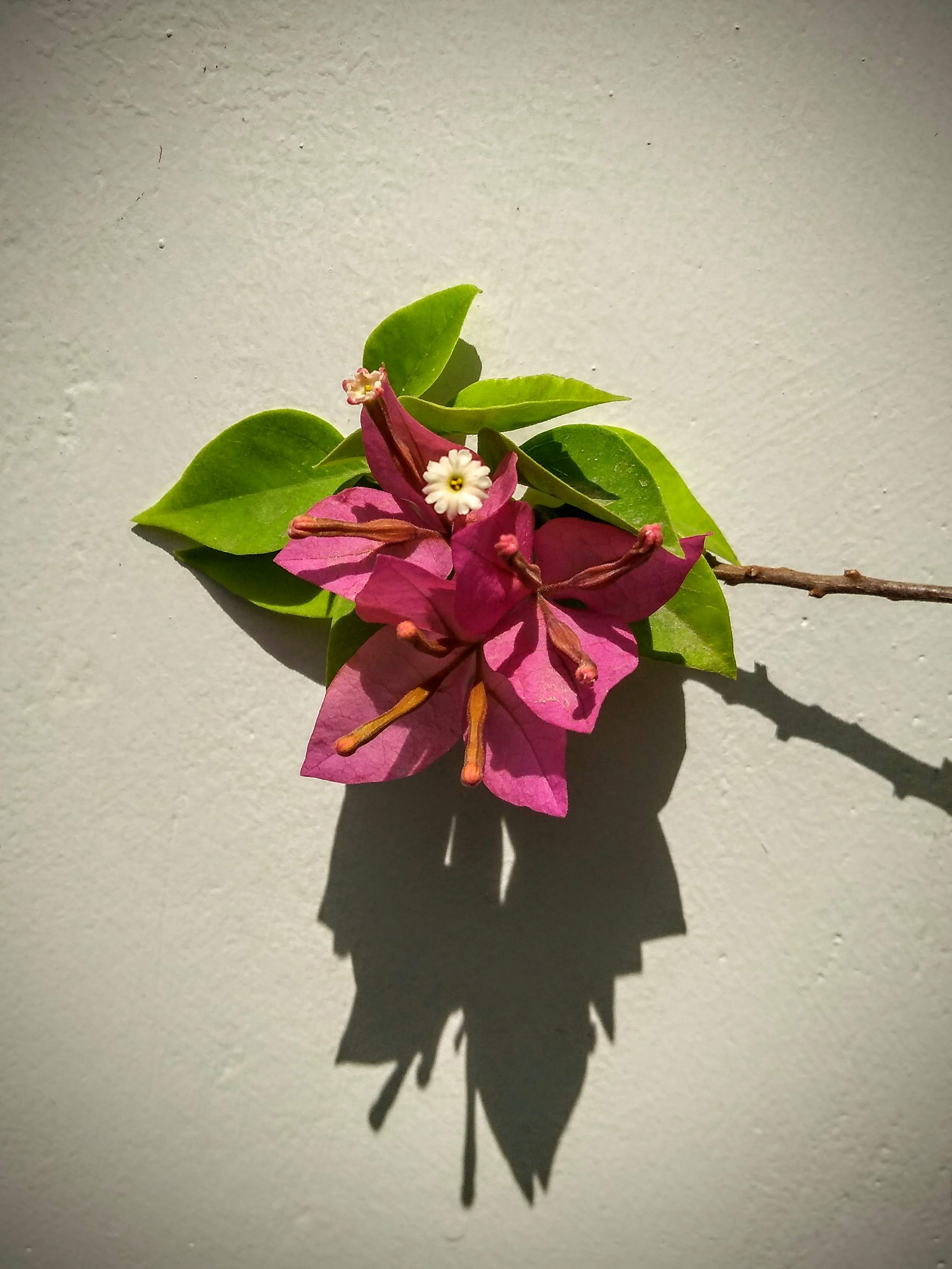 ©2021 Chintan Kalra