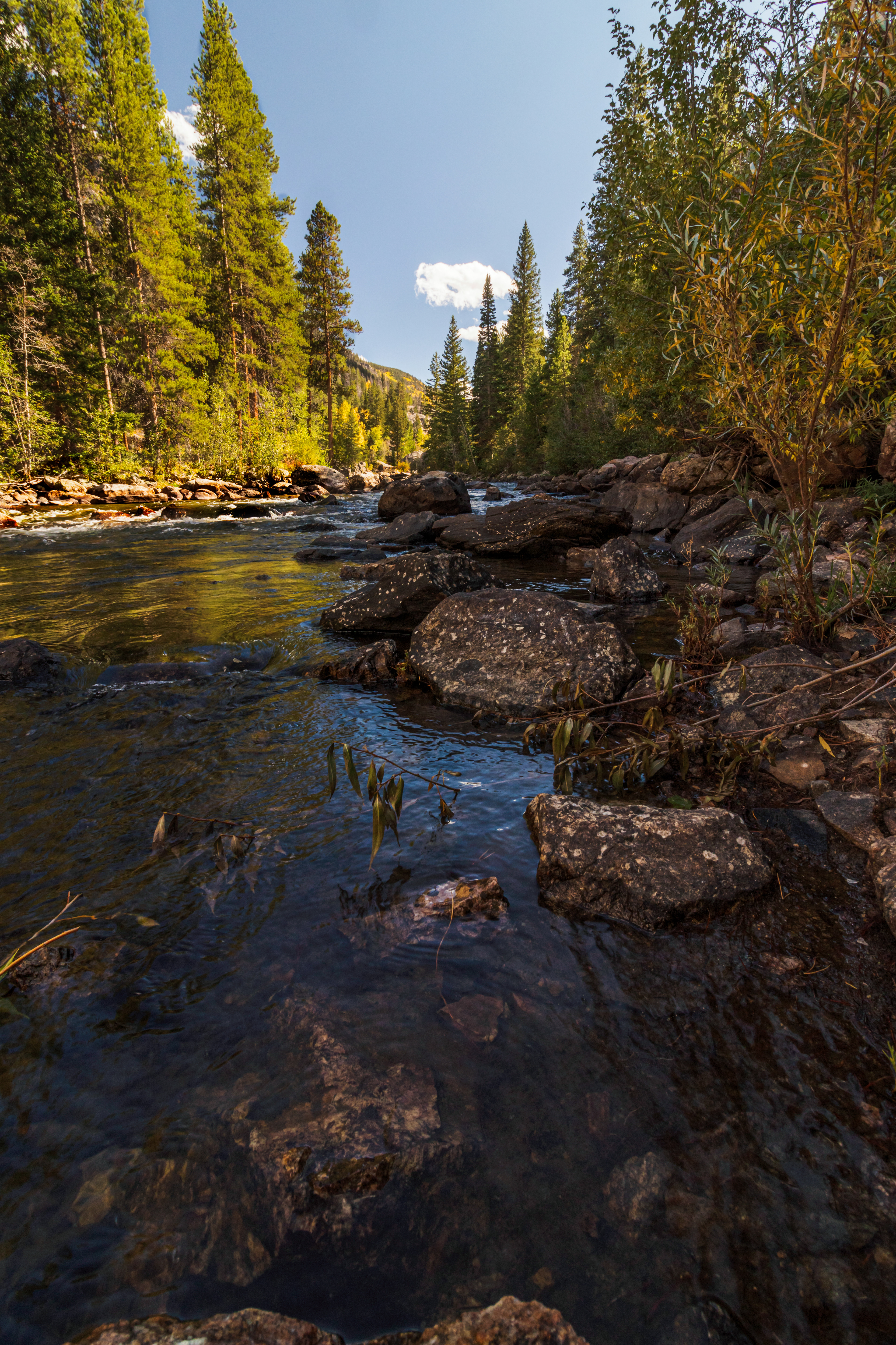 2019, Bellevue, Colorado