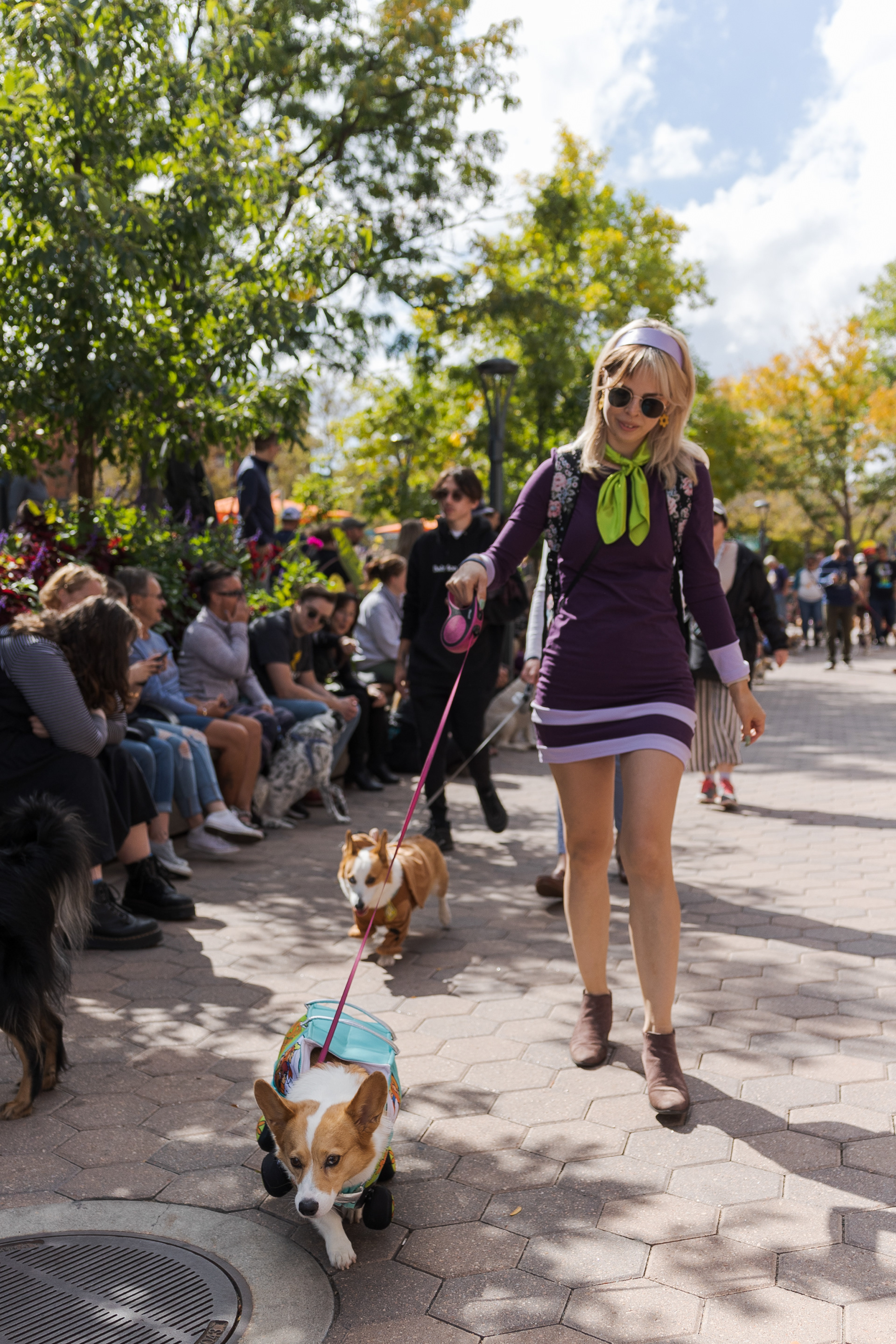 Jocelyn Stern walks with her corgi, Annabelle, during the Tour de Corgi parade Oct. 1. "This is our maybe fifth or sixth year," Stern said. "When I found out they made the Mystery Machine costumes and I thought, 'yep, we're gonna do that!'"