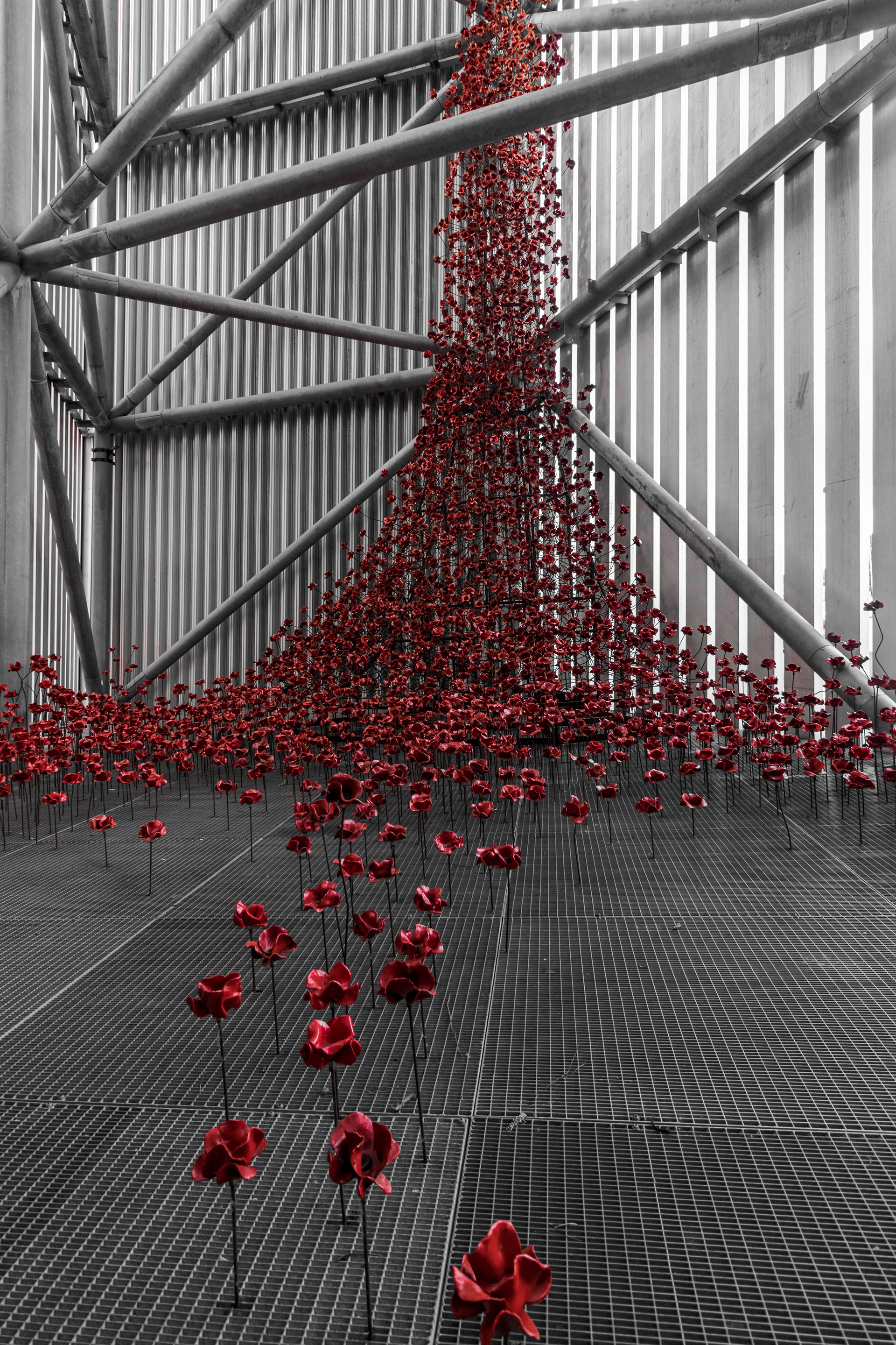 The poppies sculpture at the Imperial War Museum North in Manchester, England June 10. Manchester is a major former industrial city in the North of England and the IWM North is dedicated to chronicling the human impact of war.
