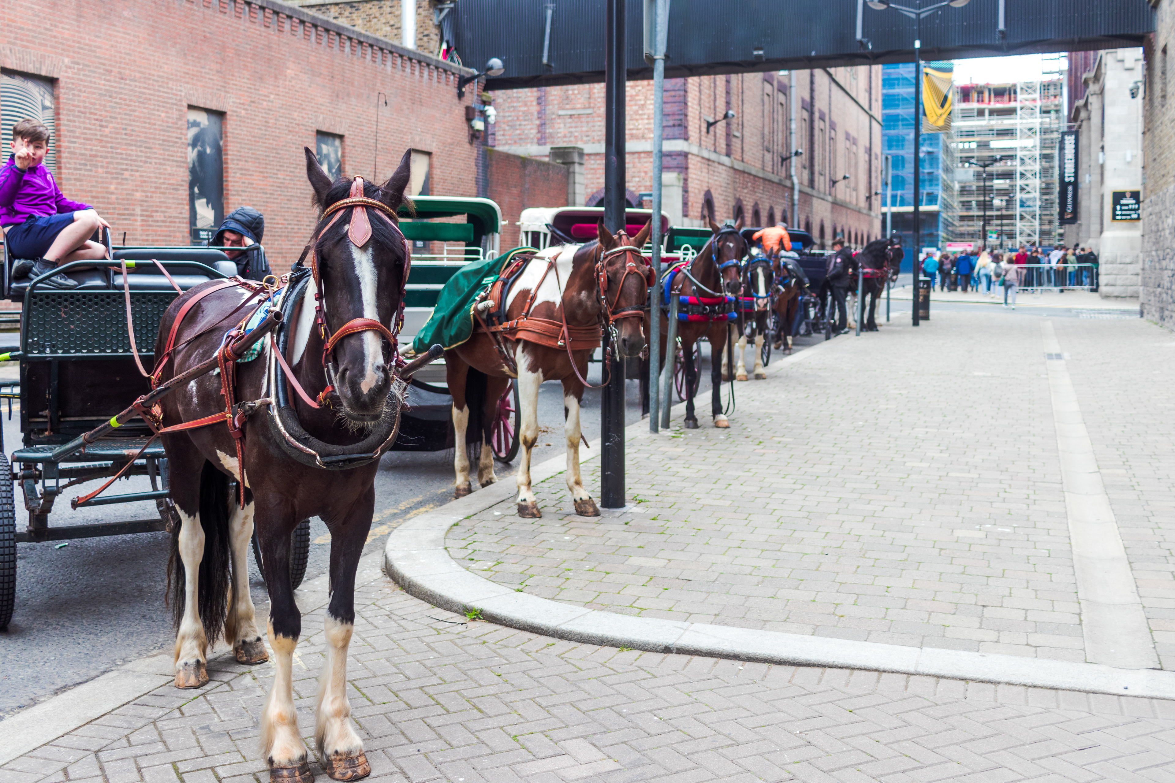 2022, Dublin, Ireland