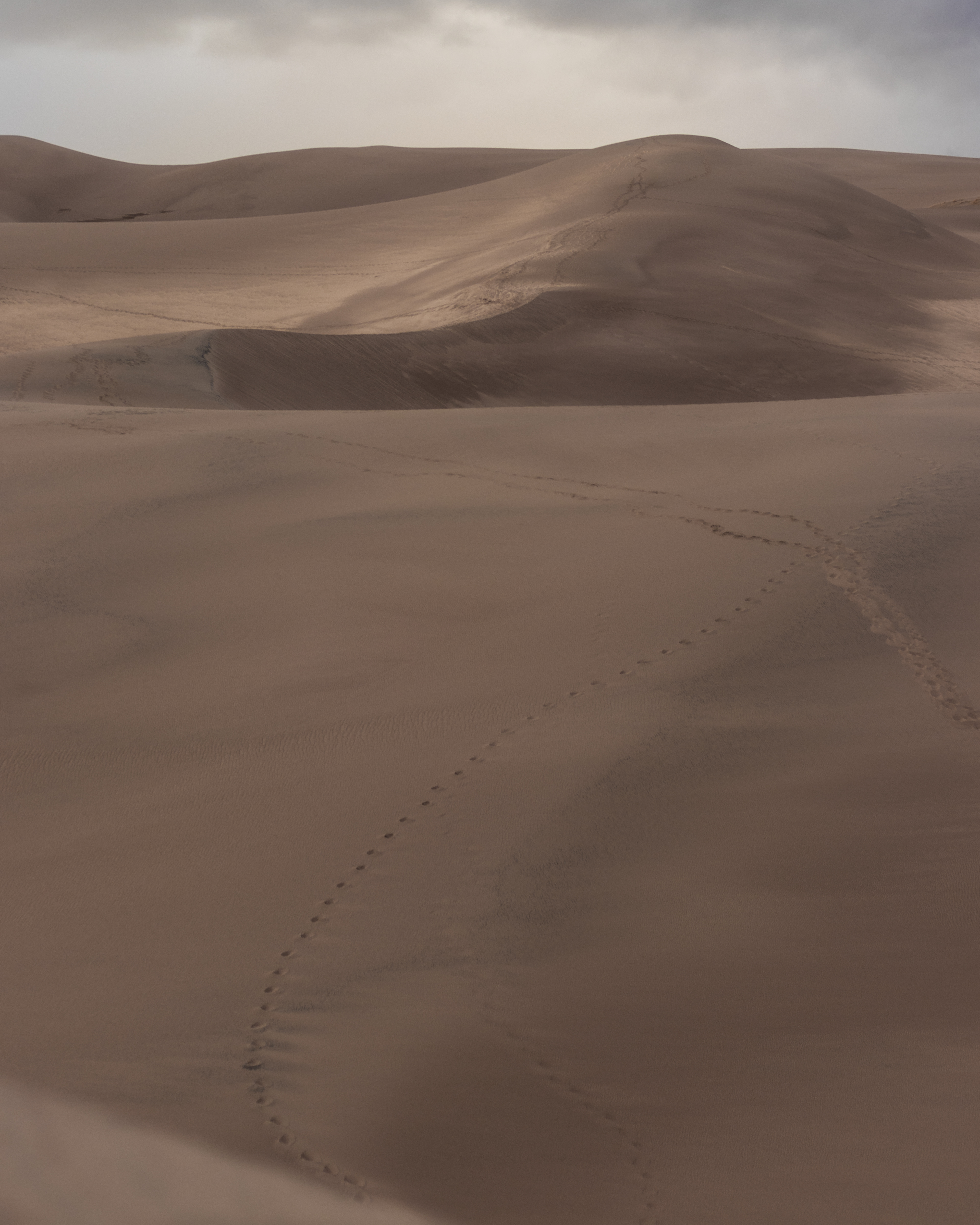 2019, Great Sand Dunes National Park, Colorado