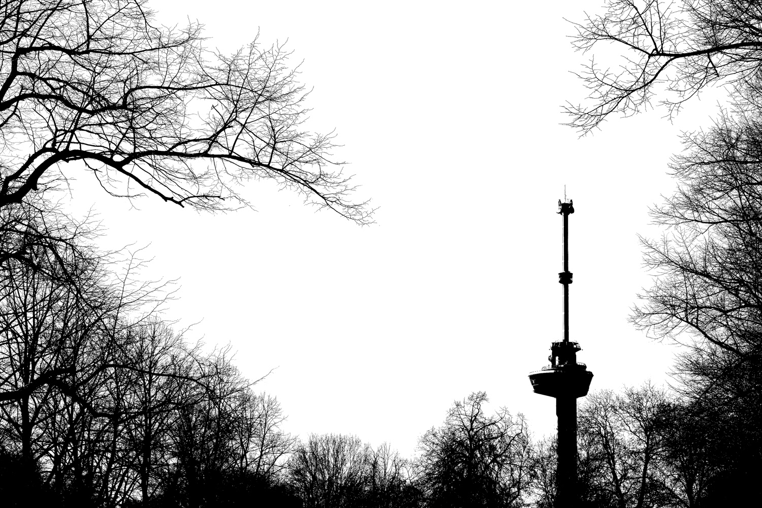 Euromast