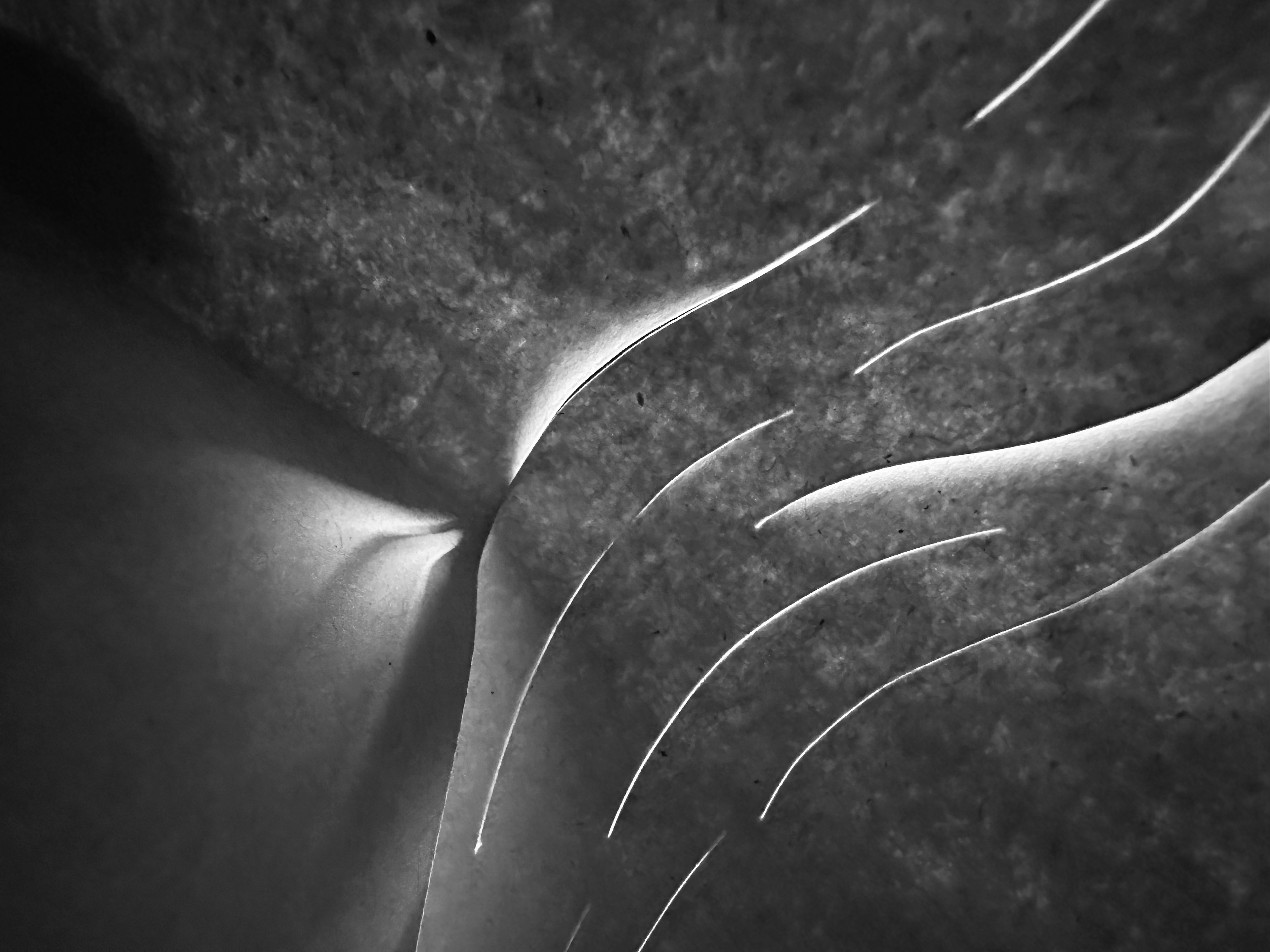 Sensory Exploration: Feel