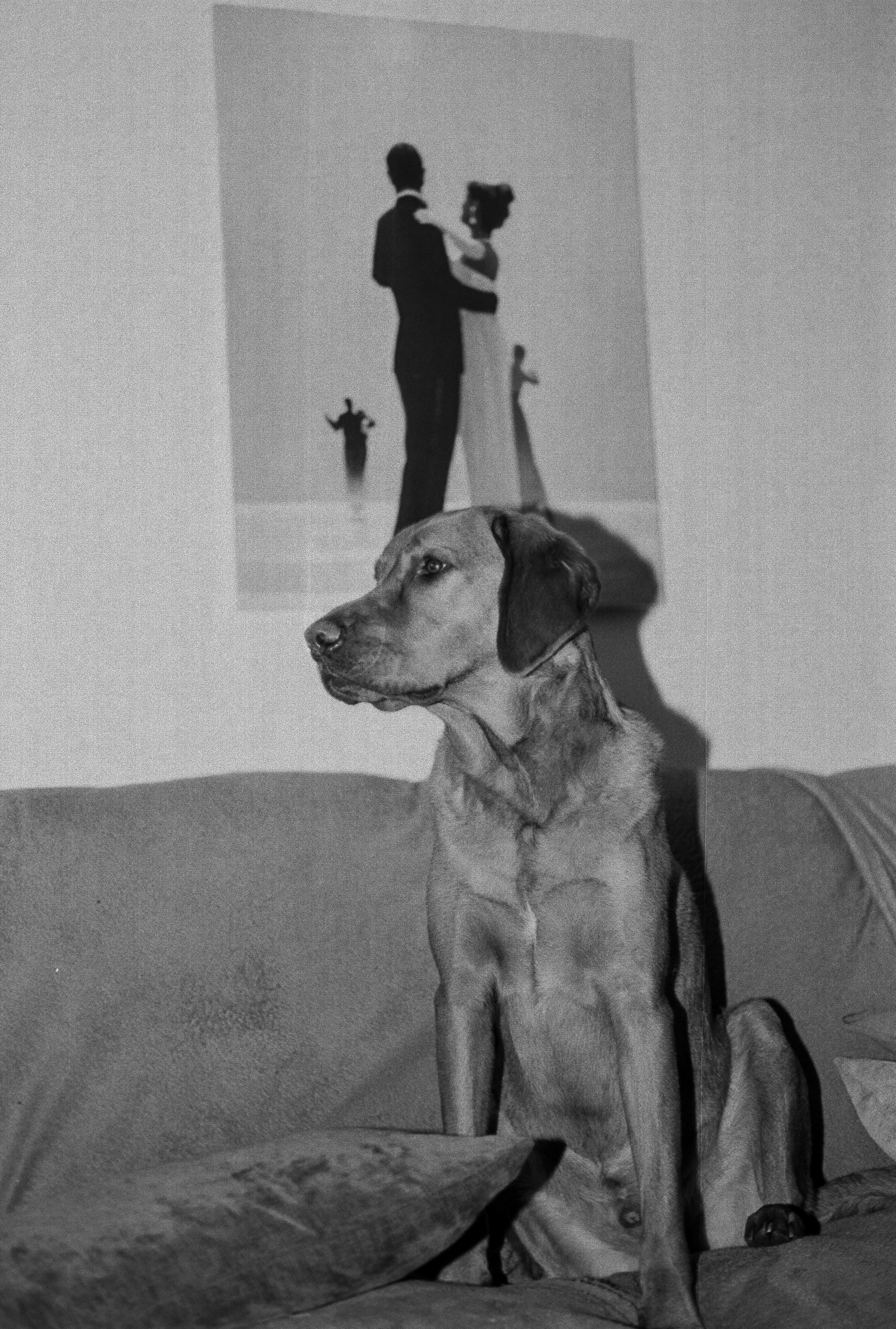 Canon AV-1 - Ilford FP4+ - 125