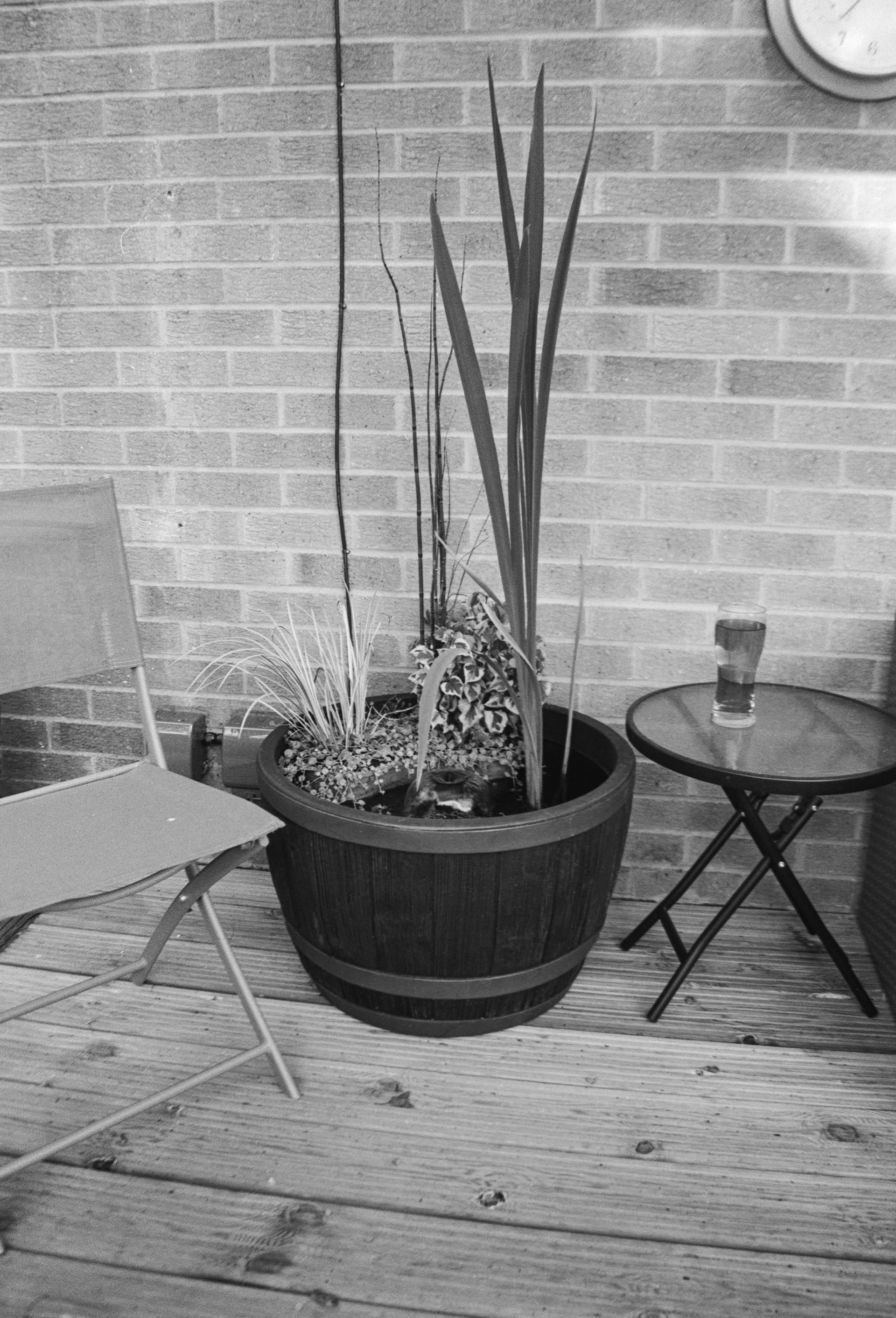 Canon EOS 3 - Ilford FP4+ - 125