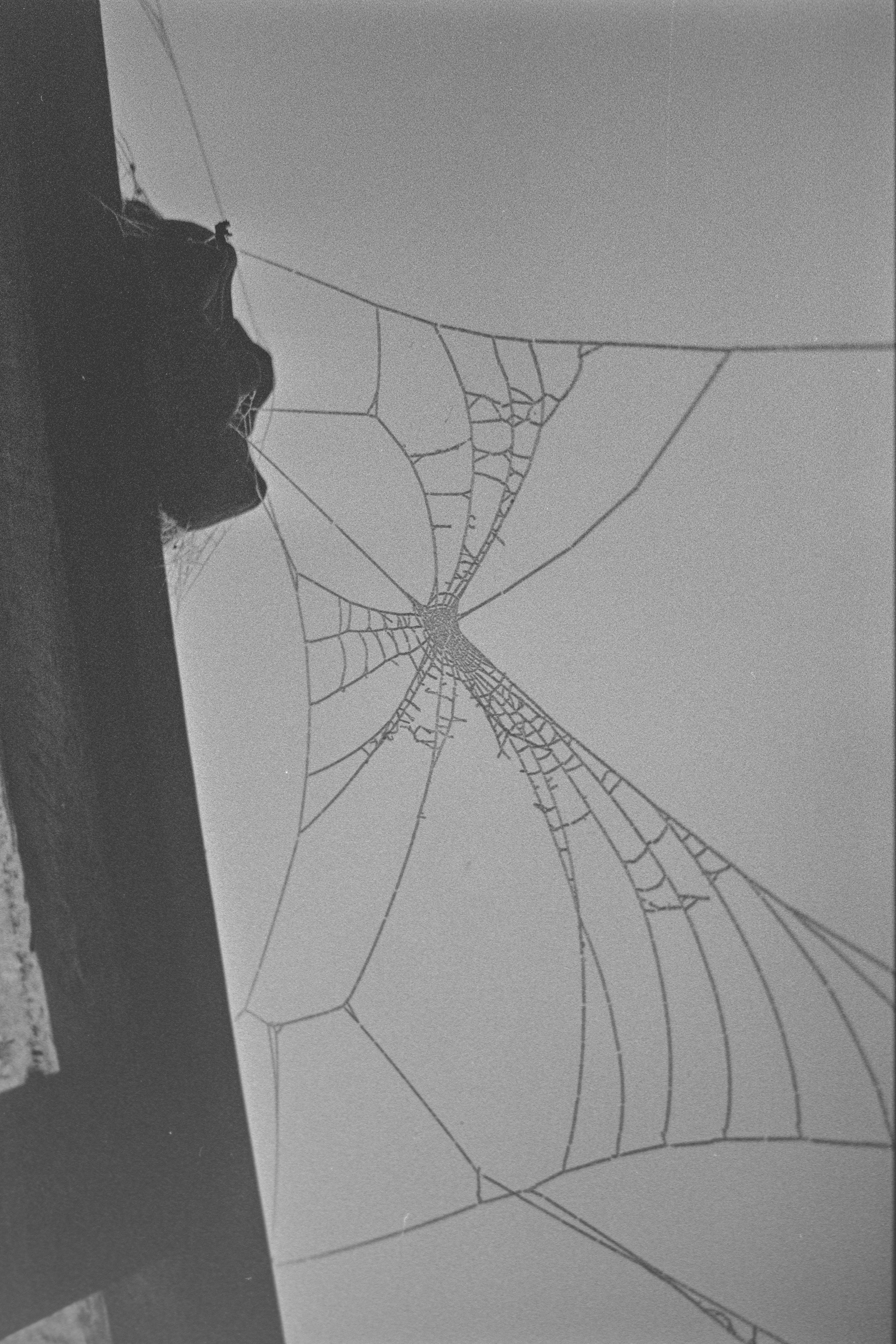 Canon EOS 3 - Kentmere pan - 400