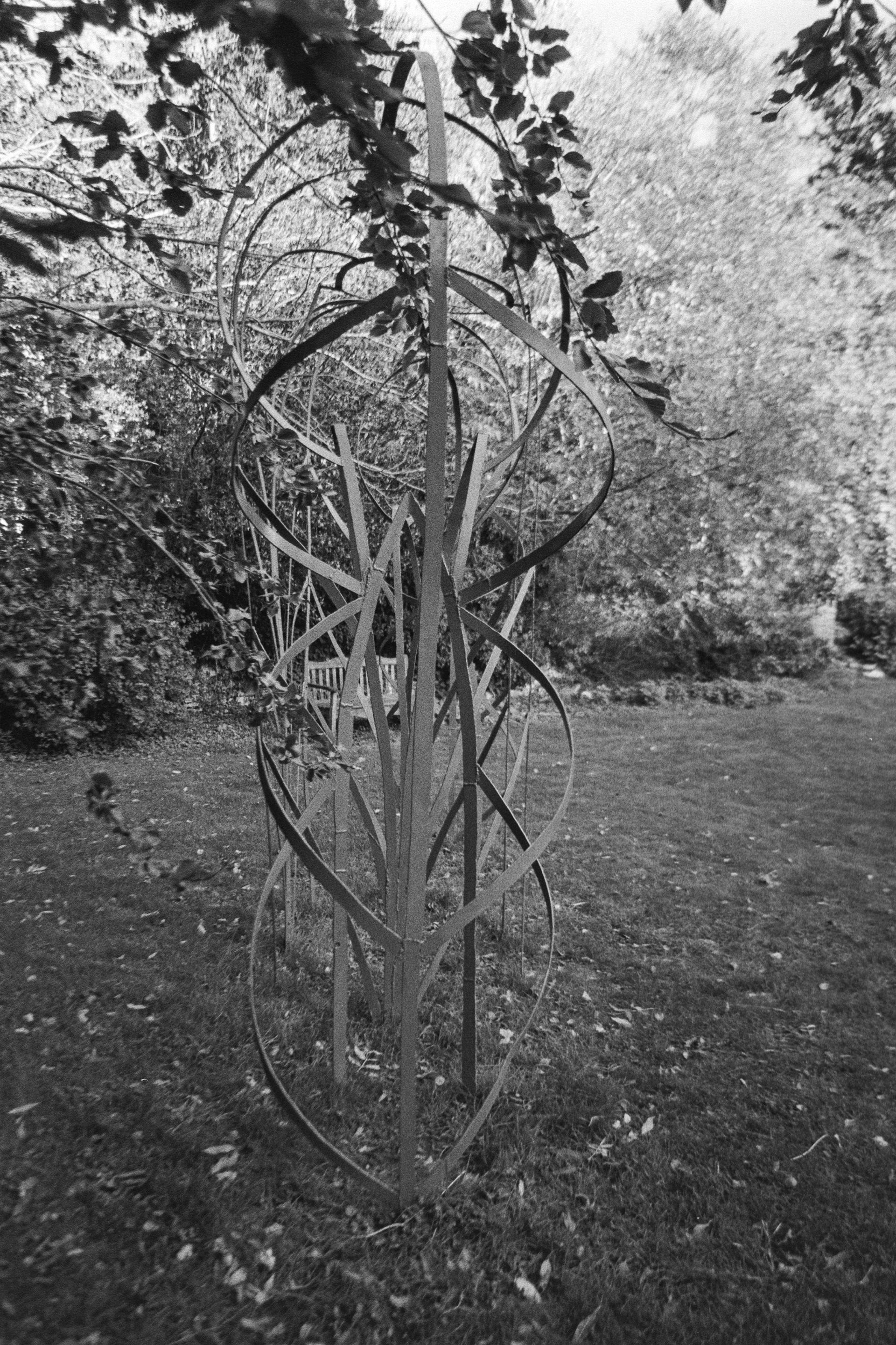 Canon EOS 3 - Kentmere pan - 400