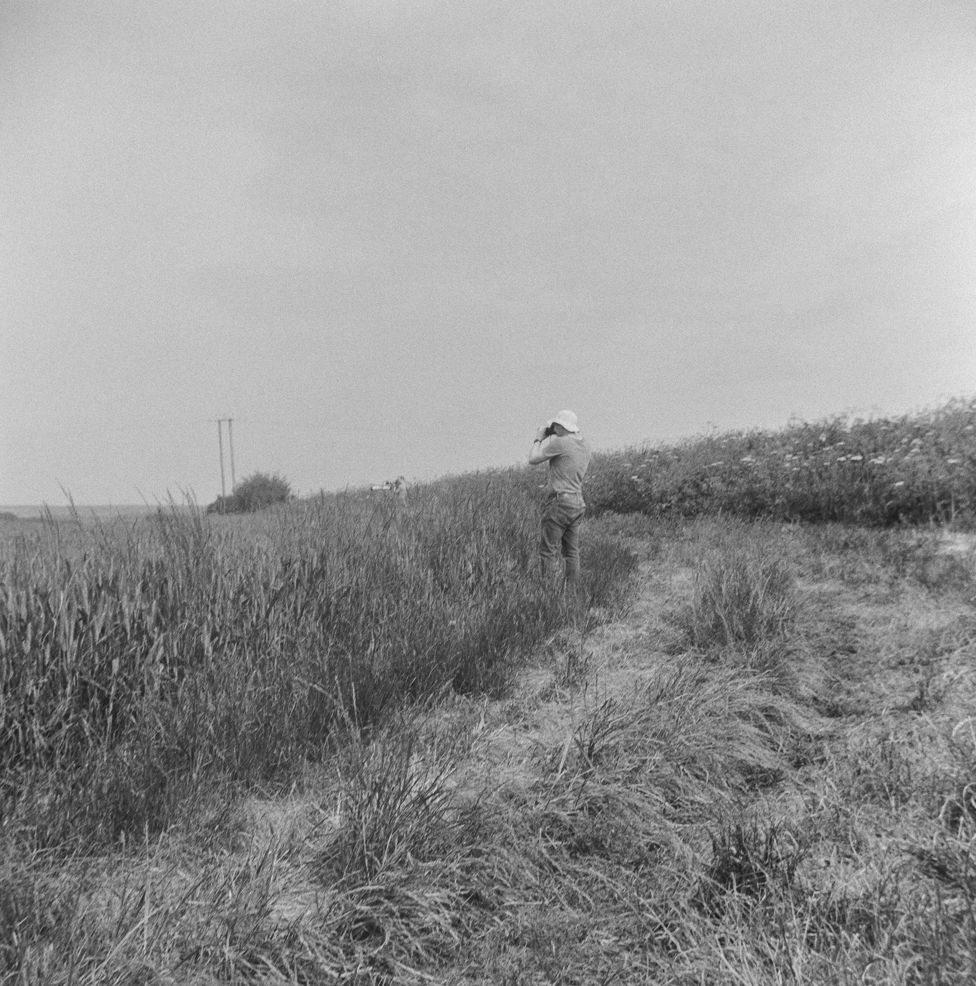 Halina A1 - Fomapan - 400