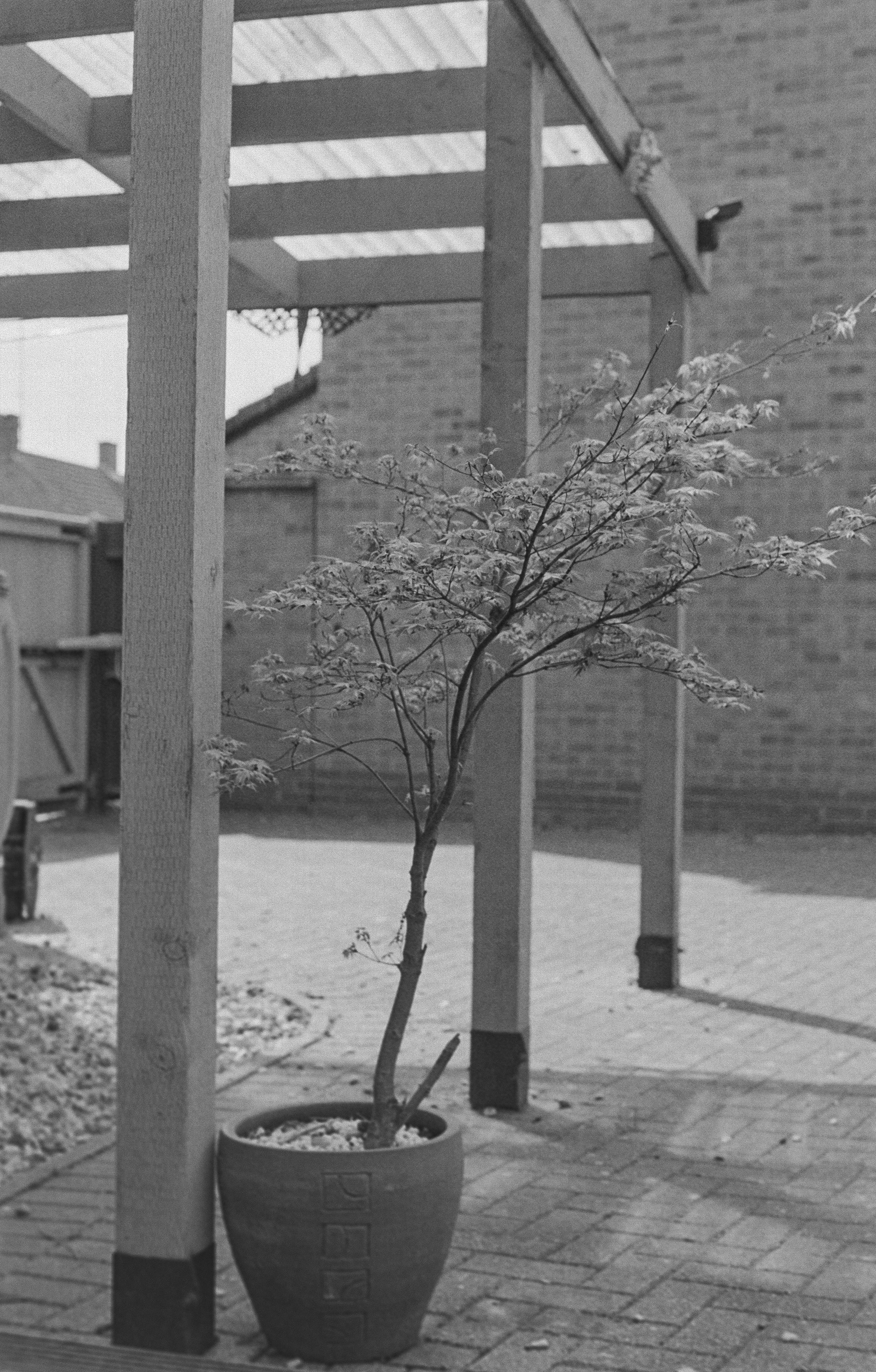 Canon AV-1 - Ilford FP5+ - 400