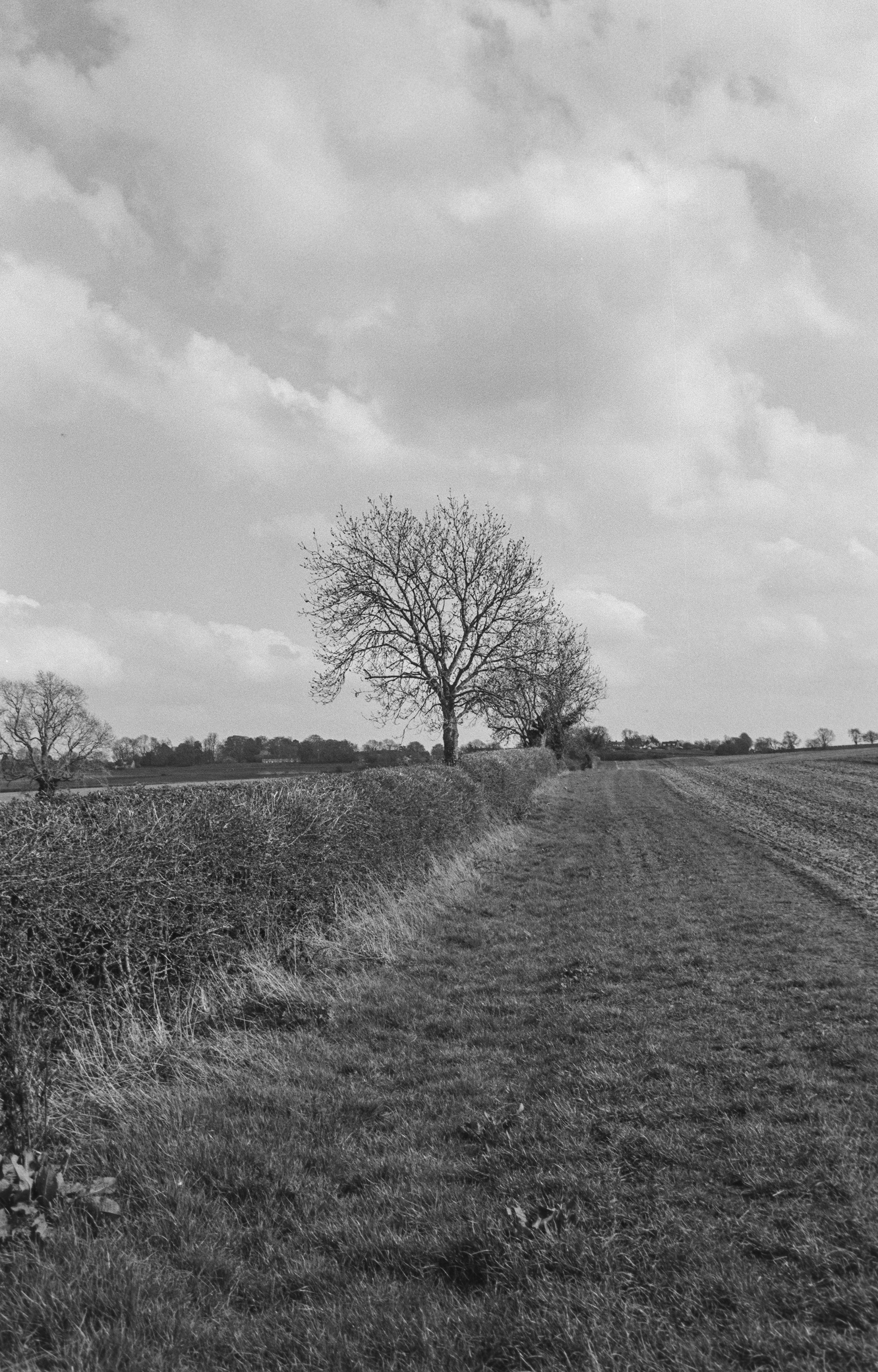 Canon AV-1 - Fomapan - 100