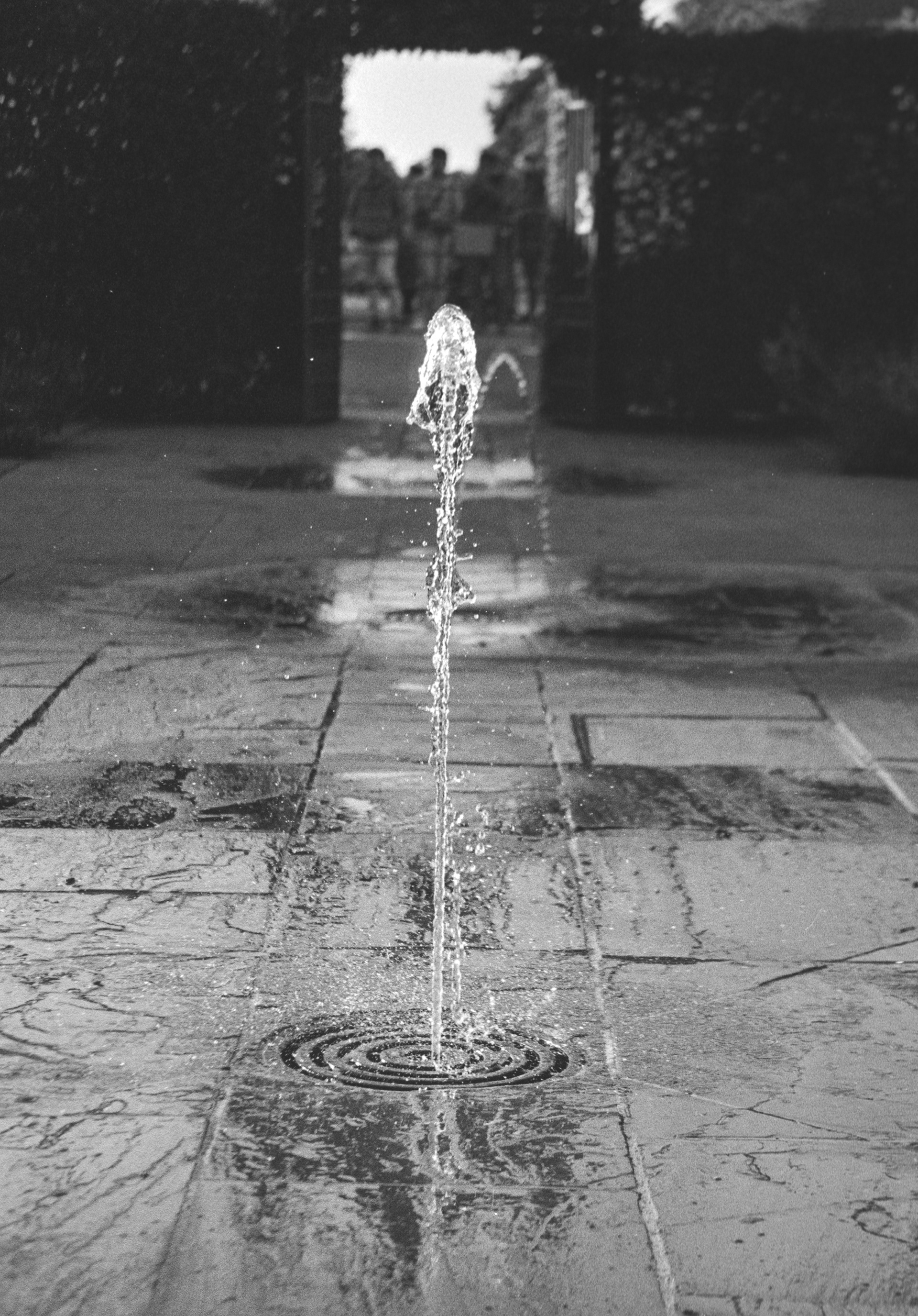 Canon EOS 3 - Kentmere pan - 400