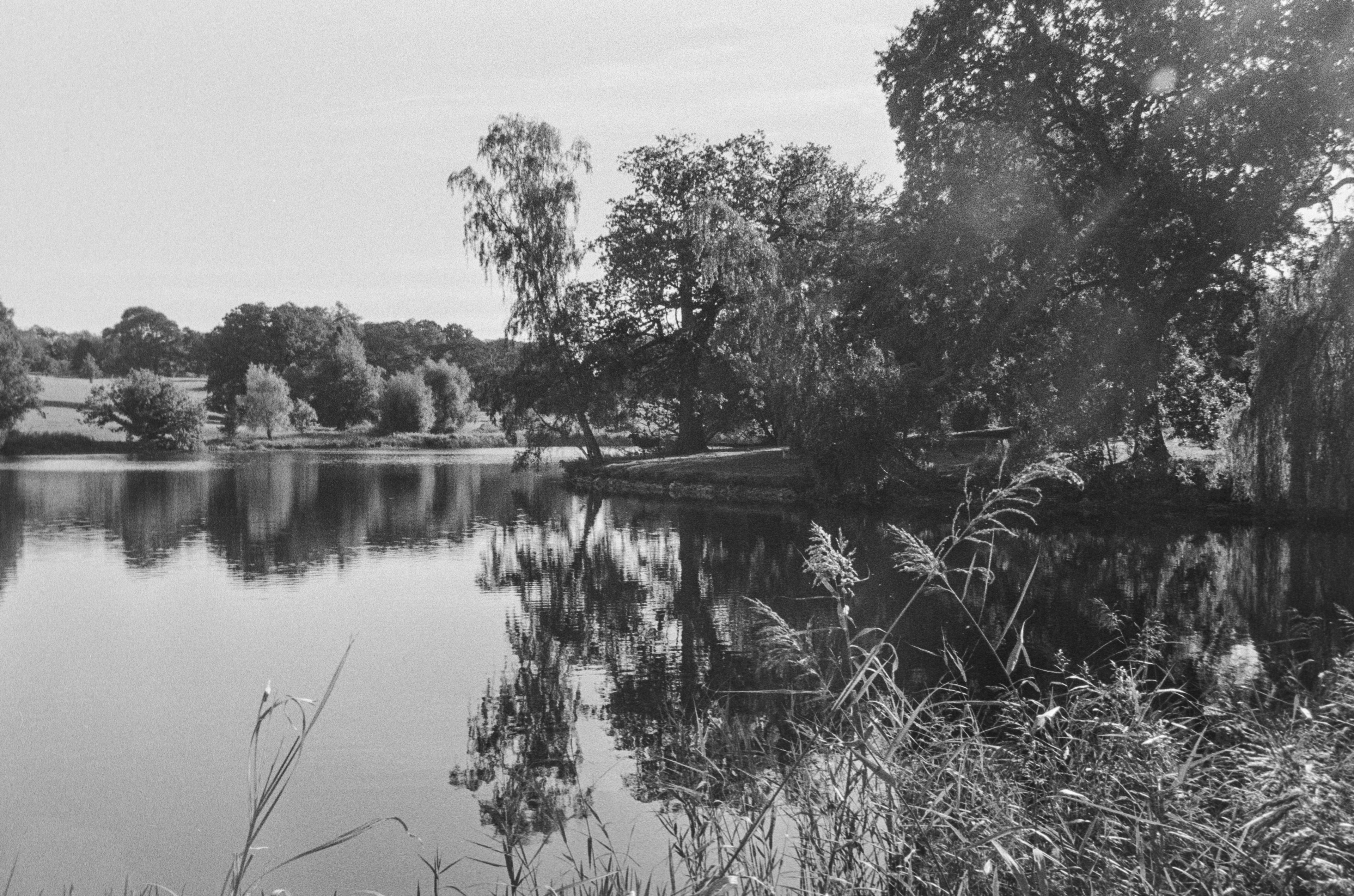 Canon EOS 3 - Kentmere pan - 400