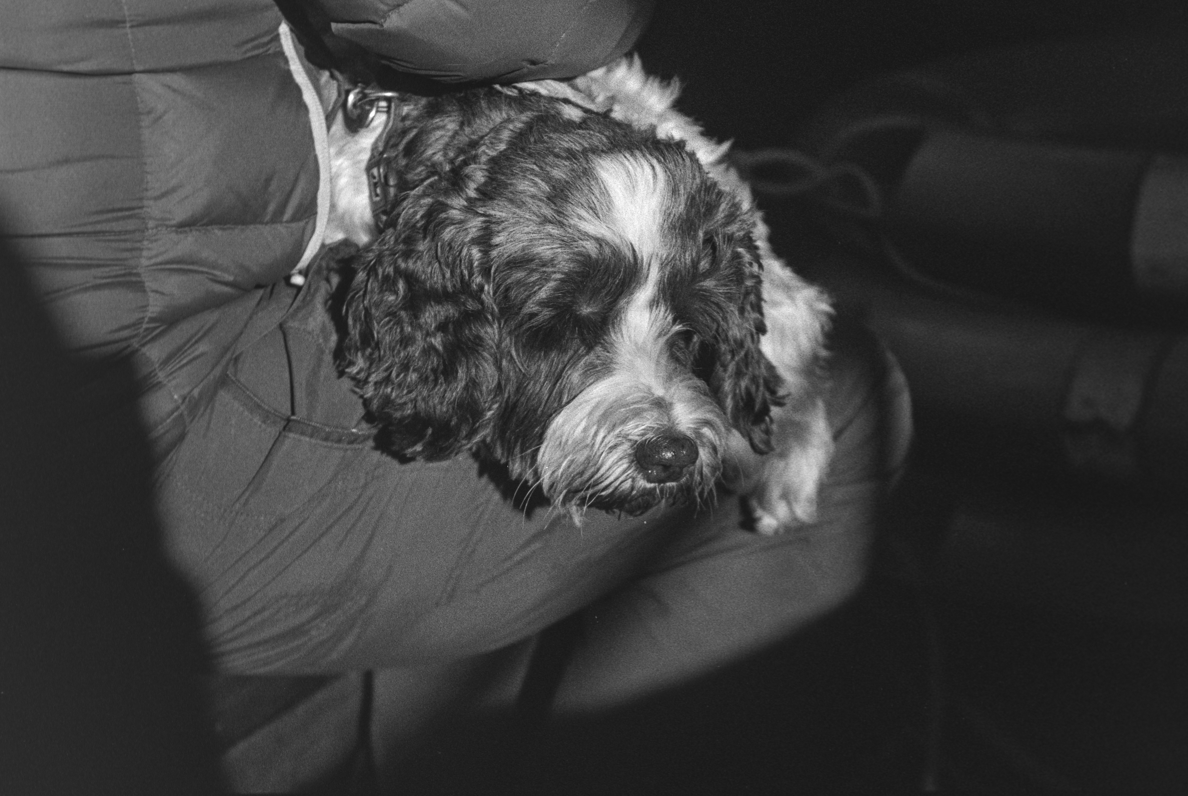 Canon EOS 3 - Kentmere pan - 400