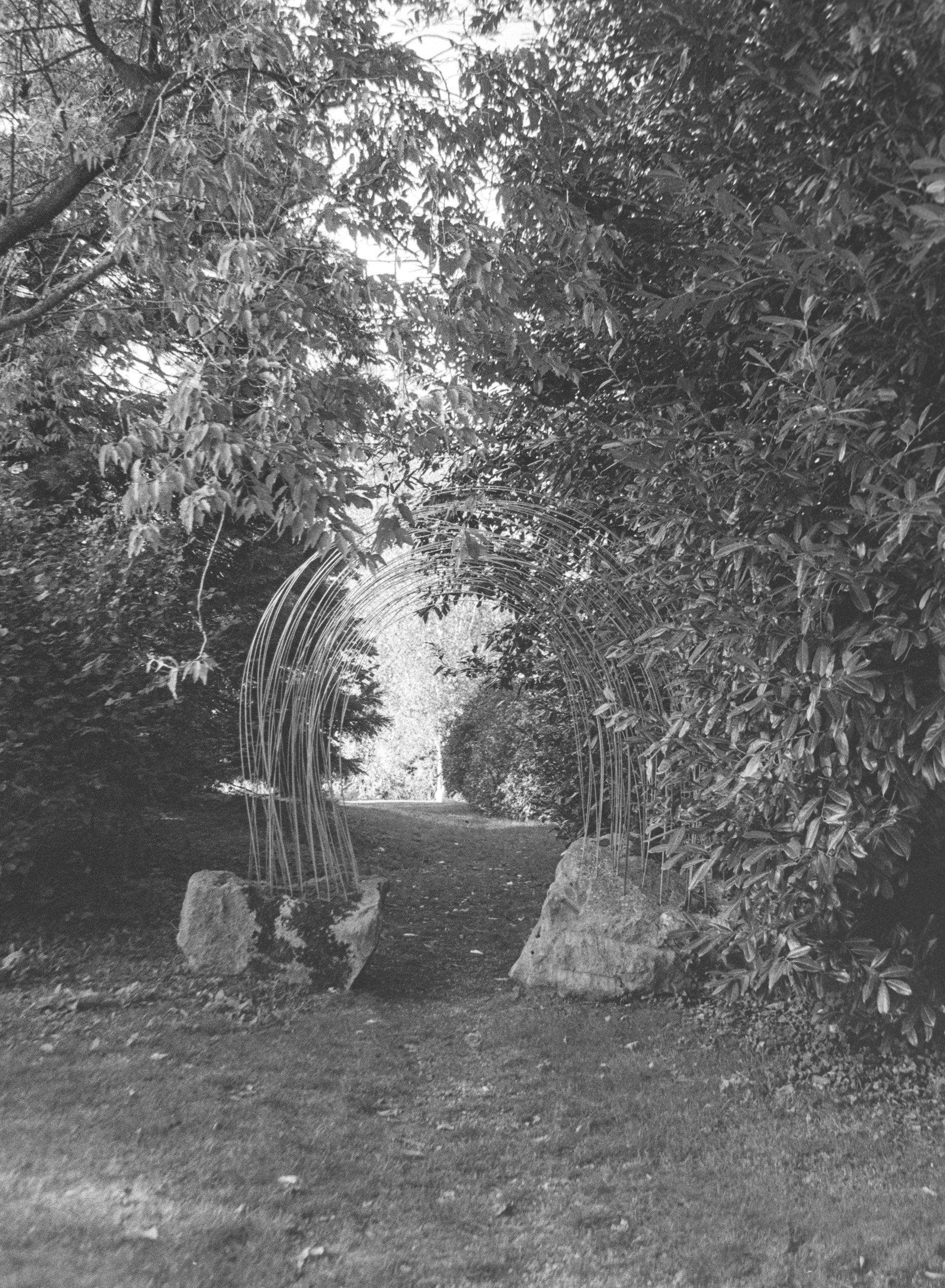Canon EOS 3 - Kentmere pan - 400