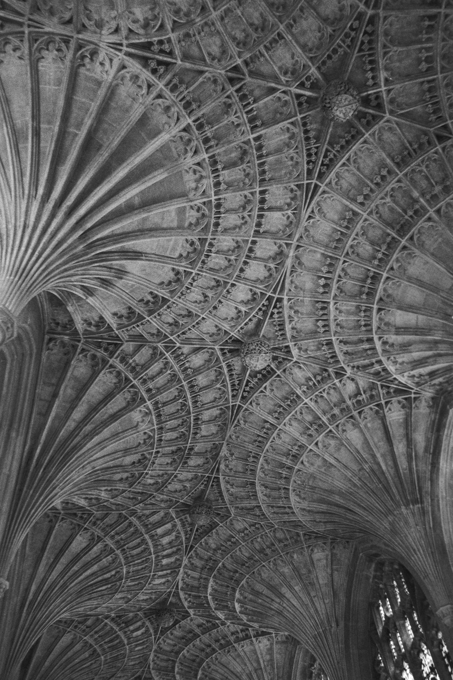 Canon EOS 3 - Kentmere pan - 400