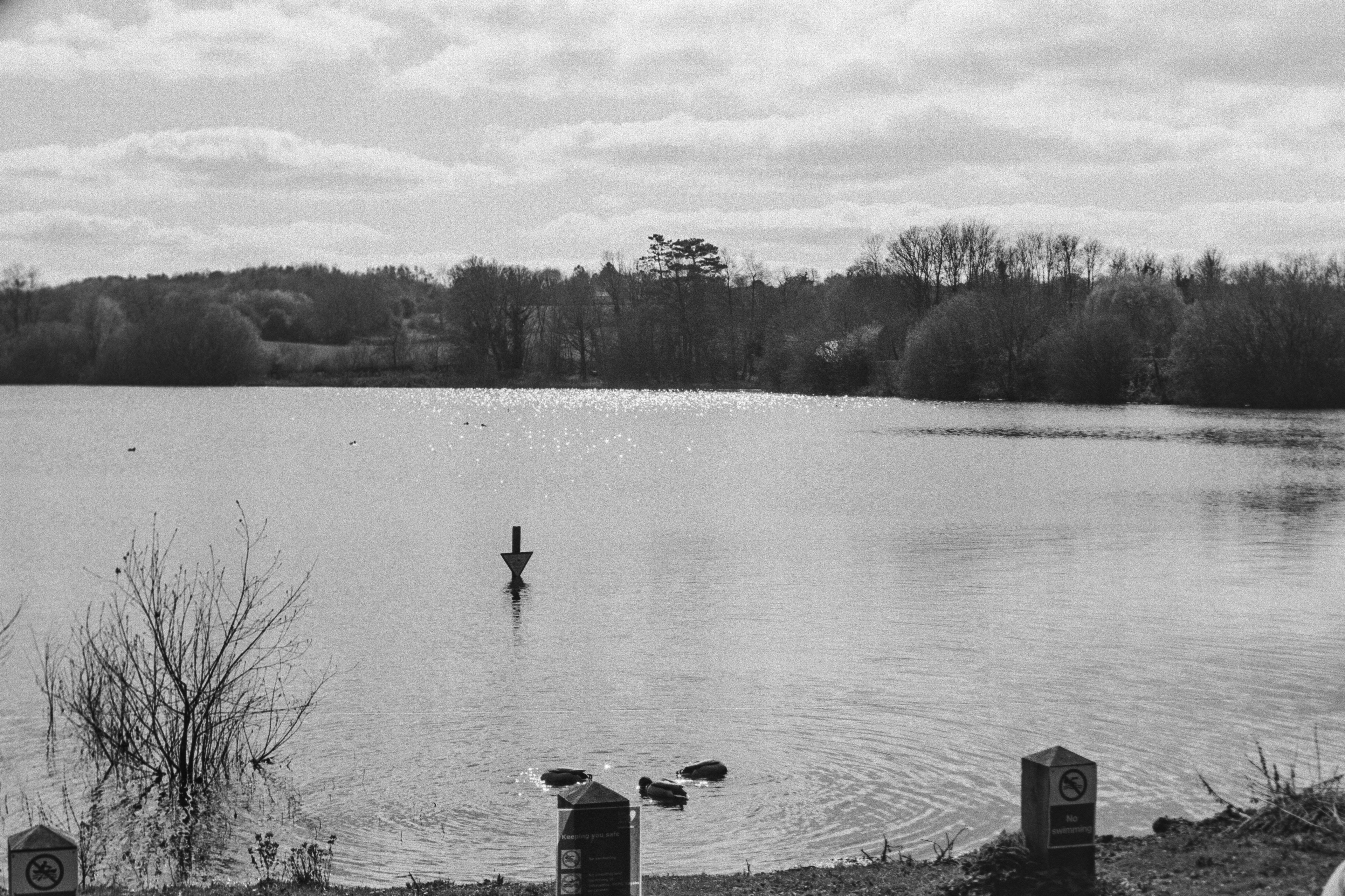 Canon AV-1 - Ilford FP4+ - 125