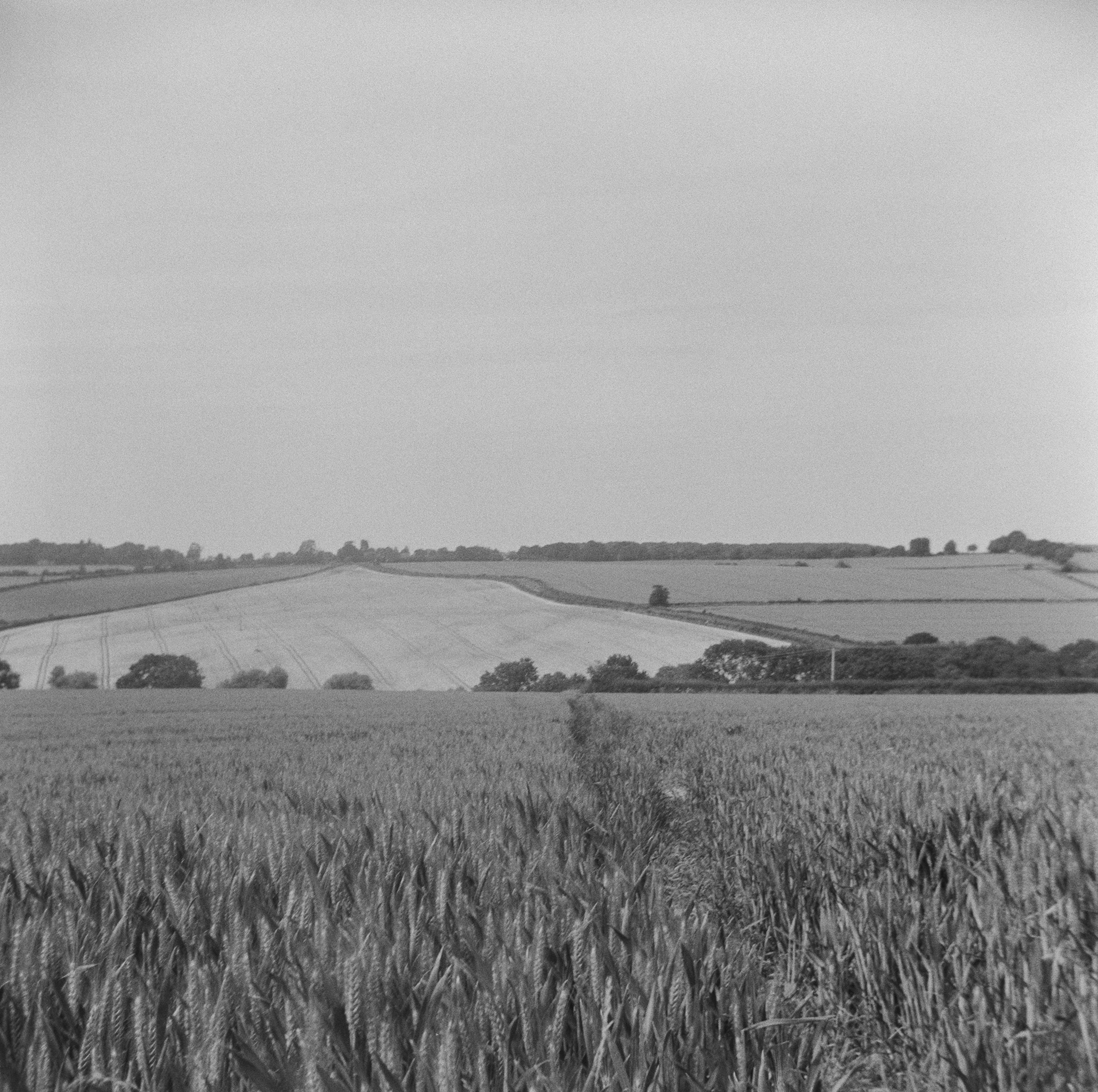 Halina A1 - Fomapan - 400