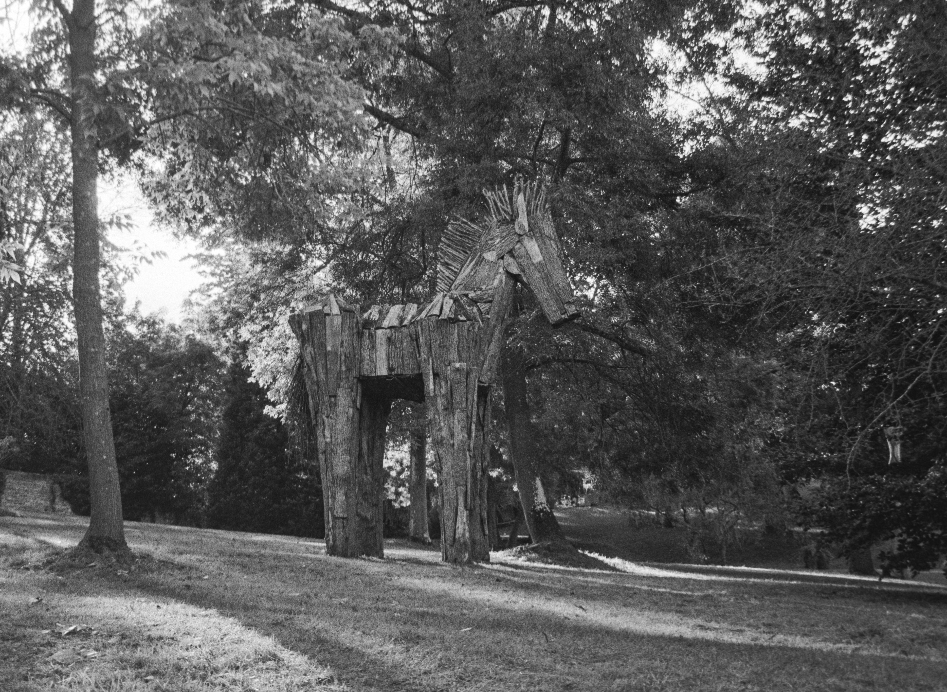 Canon EOS 3 - Kentmere pan - 400
