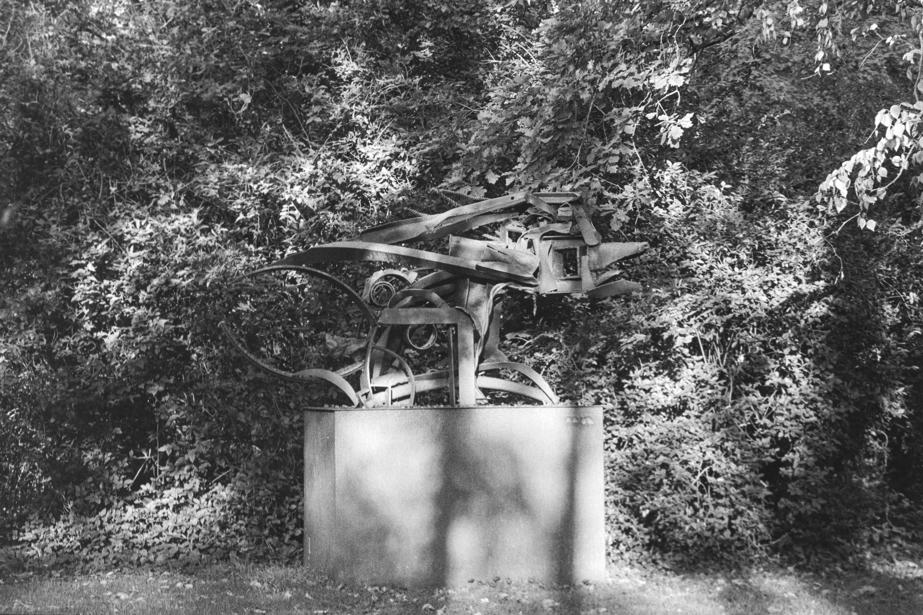 Canon EOS 3 - Kentmere pan - 400