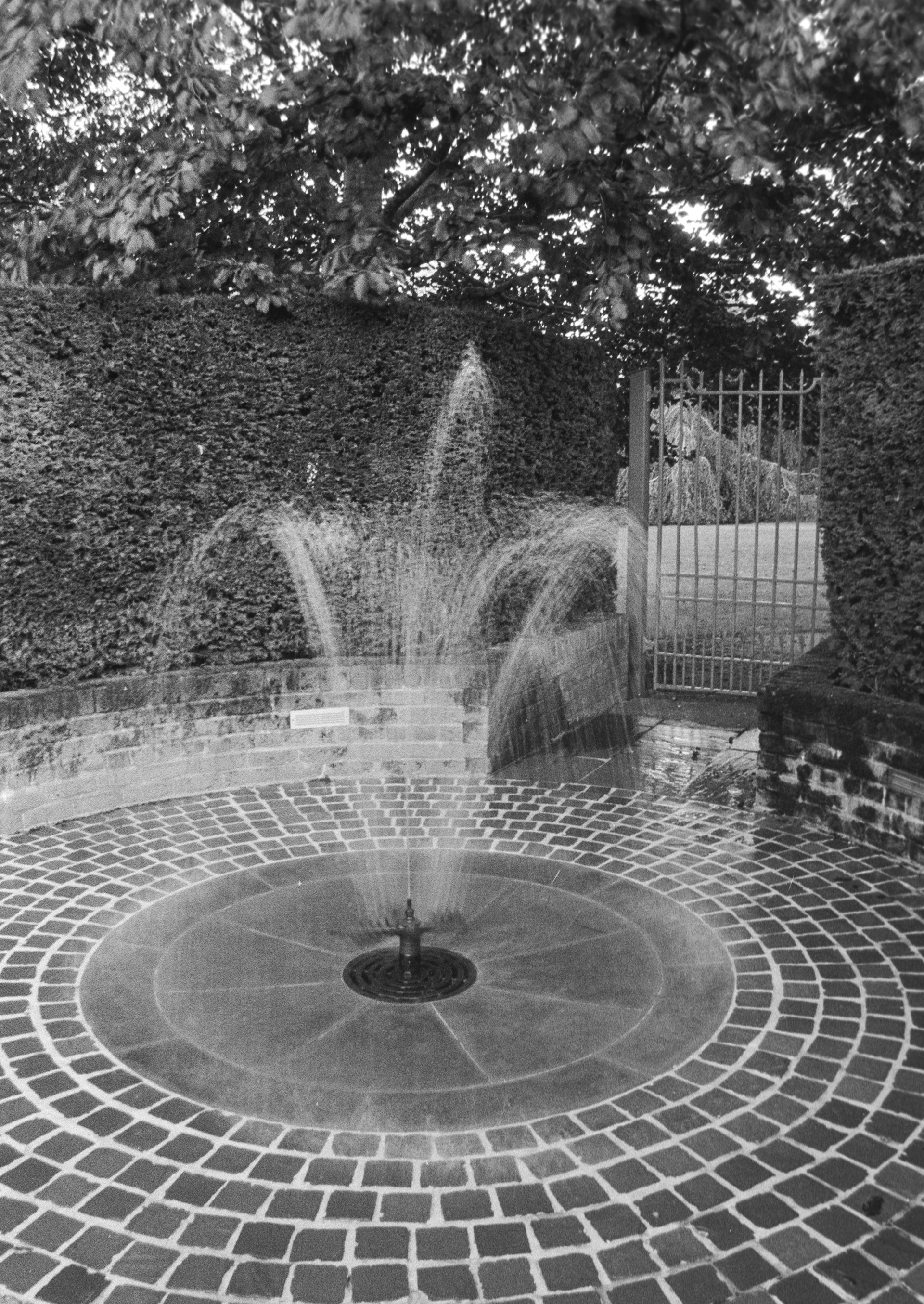 Canon EOS 3 - Kentmere pan - 400