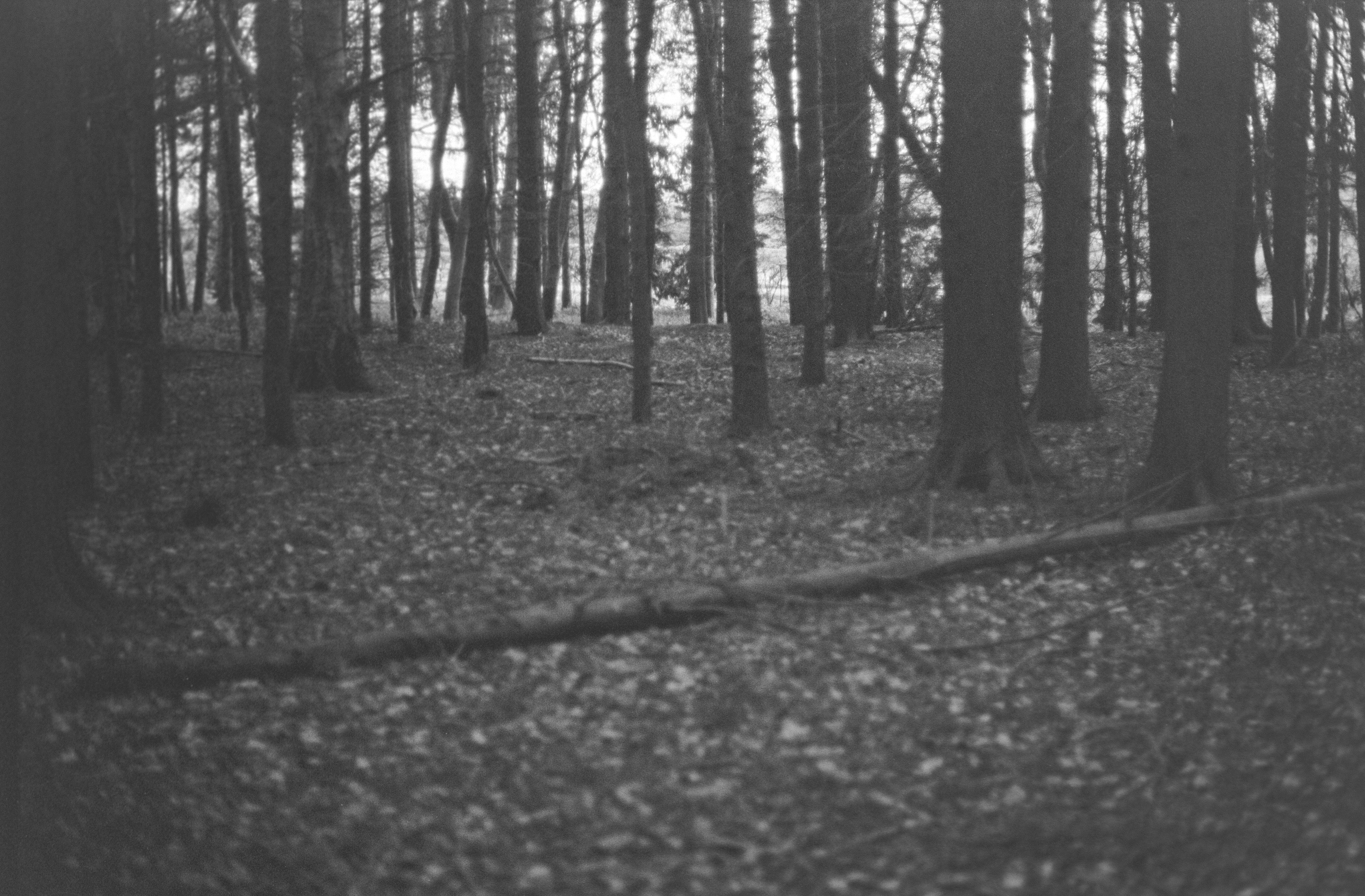 Canon AV-1 - Ilford FP4+ - 125